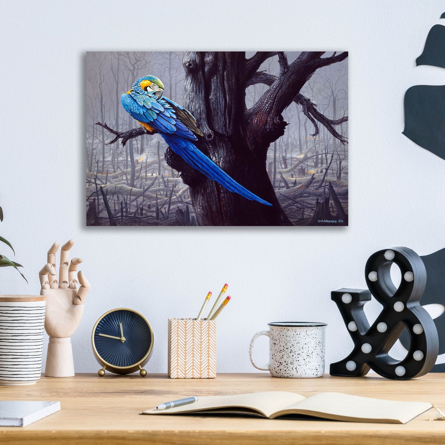 Epic Art 'Blue And Yellow Macaw In Burned Forest' by Harro Maass, Acrylic Glass Wall Art,16x12