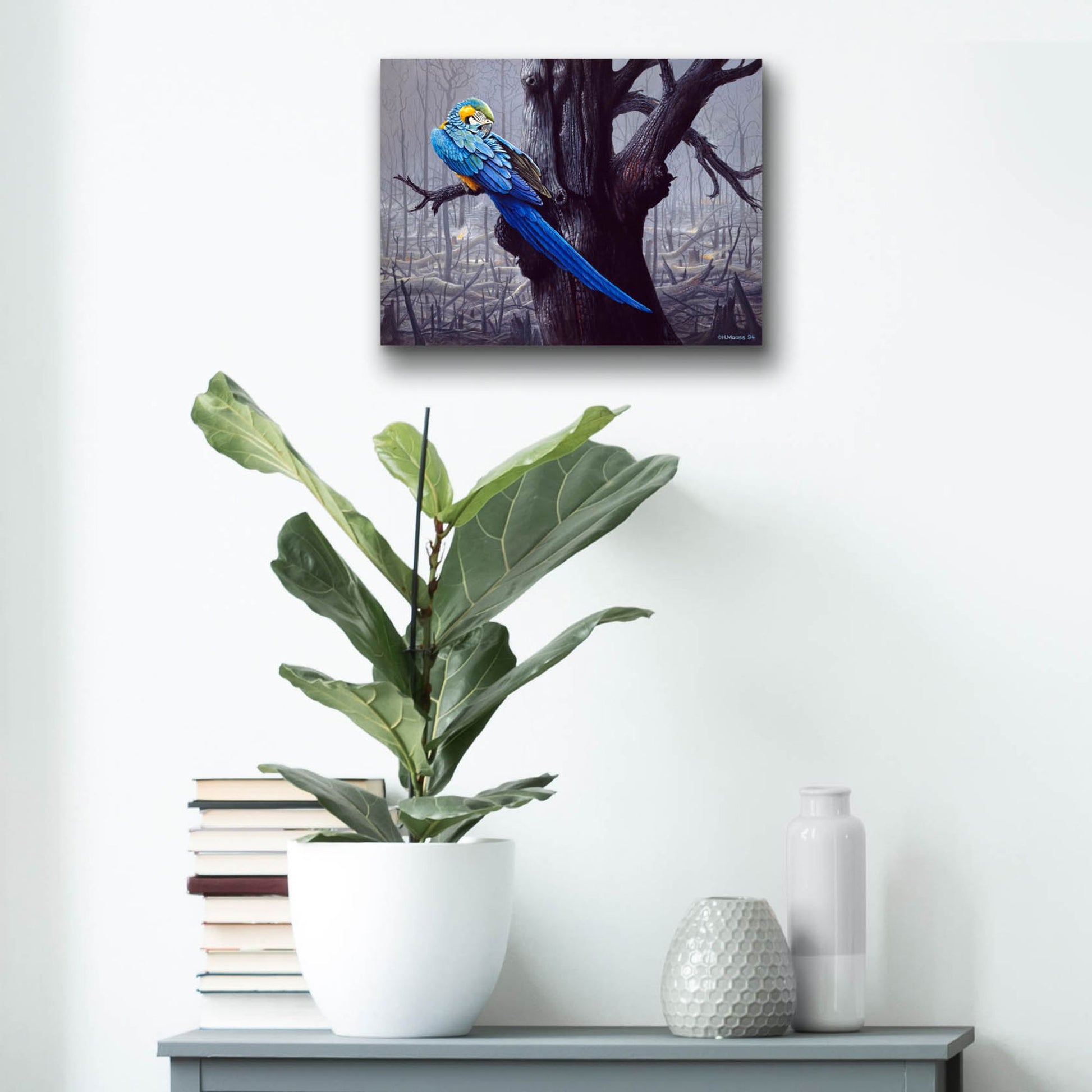 Epic Art 'Blue And Yellow Macaw In Burned Forest' by Harro Maass, Acrylic Glass Wall Art,16x12