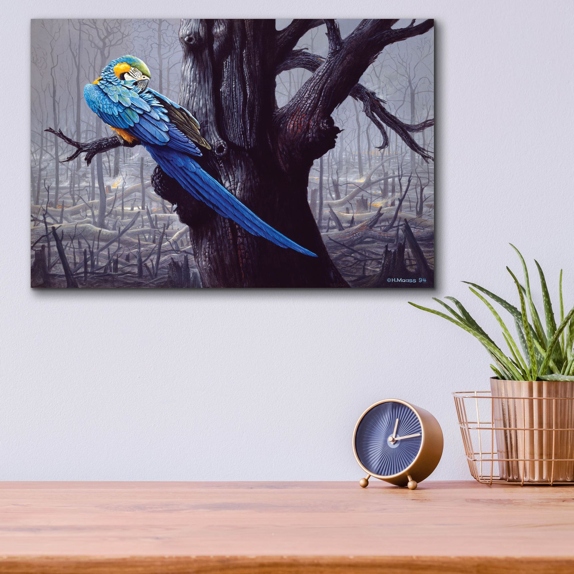 Epic Art 'Blue And Yellow Macaw In Burned Forest' by Harro Maass, Acrylic Glass Wall Art,16x12