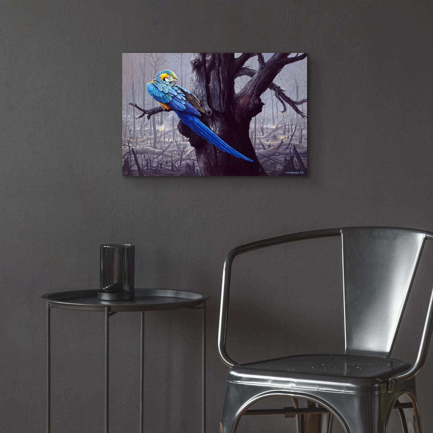 Epic Art 'Blue And Yellow Macaw In Burned Forest' by Harro Maass, Acrylic Glass Wall Art,24x16