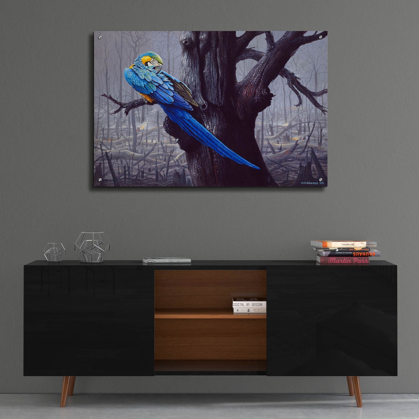 Epic Art 'Blue And Yellow Macaw In Burned Forest' by Harro Maass, Acrylic Glass Wall Art,36x24