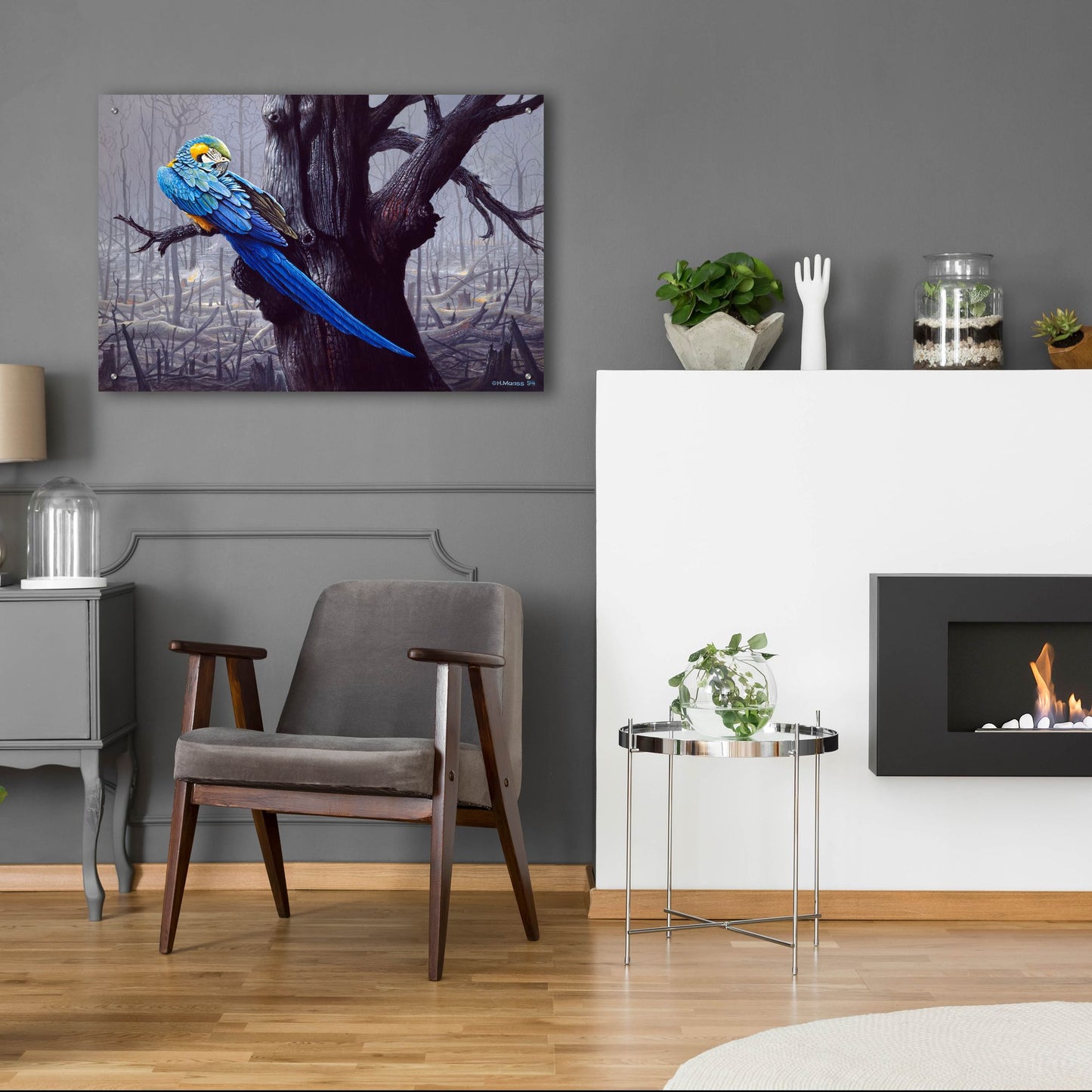 Epic Art 'Blue And Yellow Macaw In Burned Forest' by Harro Maass, Acrylic Glass Wall Art,36x24