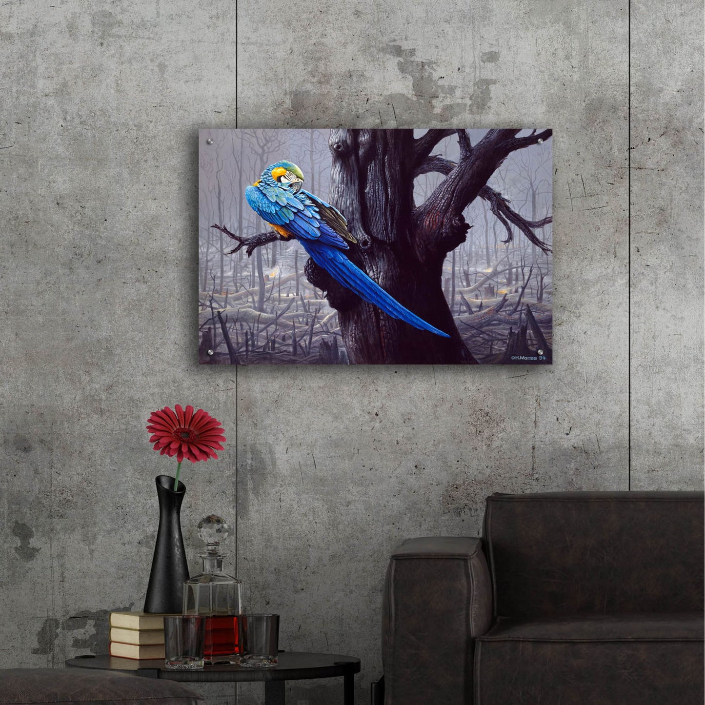 Epic Art 'Blue And Yellow Macaw In Burned Forest' by Harro Maass, Acrylic Glass Wall Art,36x24