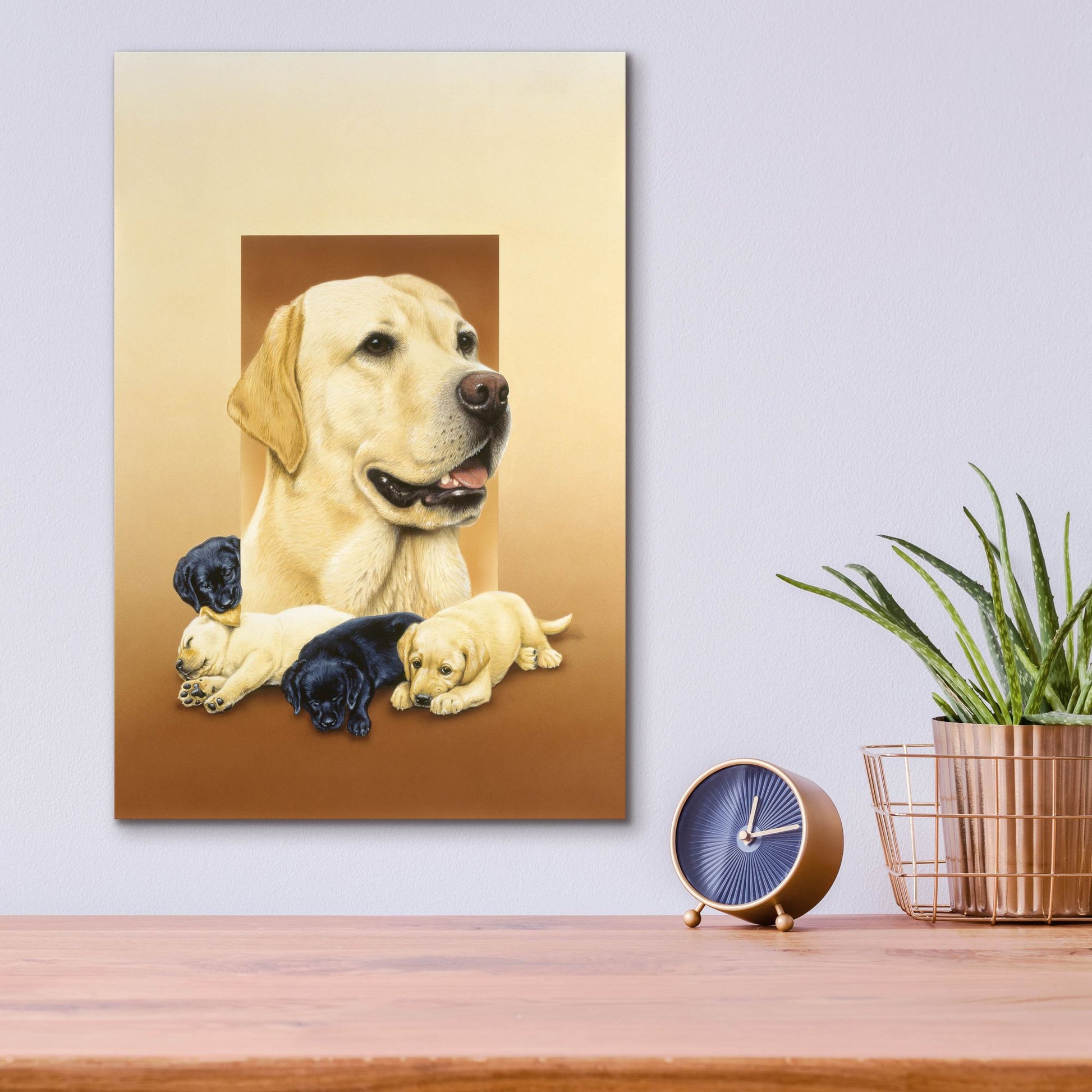 Epic Art 'Labradors' by Harro Maass, Acrylic Glass Wall Art,12x16
