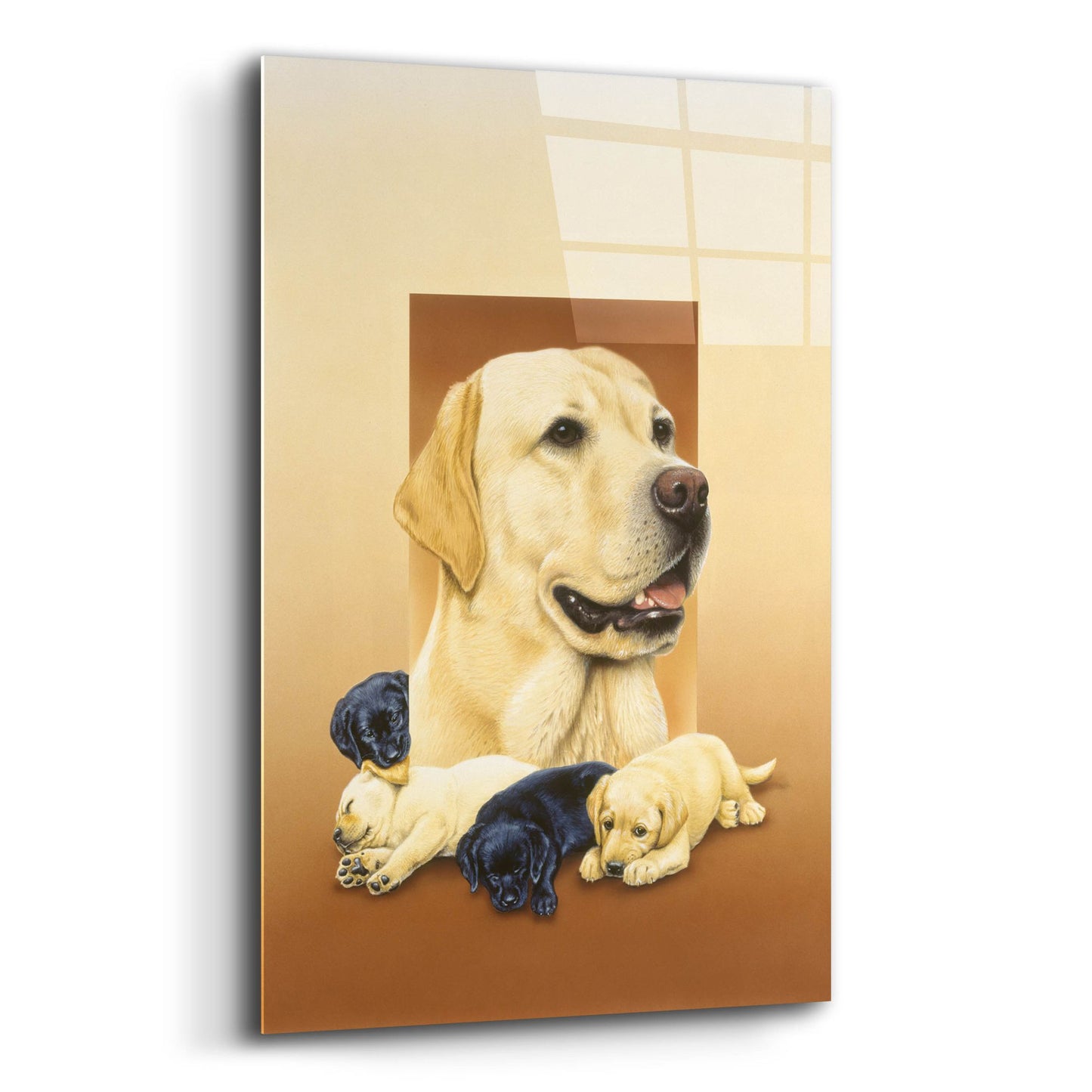 Epic Art 'Labradors' by Harro Maass, Acrylic Glass Wall Art,16x24