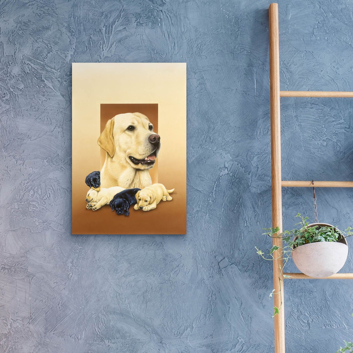 Epic Art 'Labradors' by Harro Maass, Acrylic Glass Wall Art,16x24