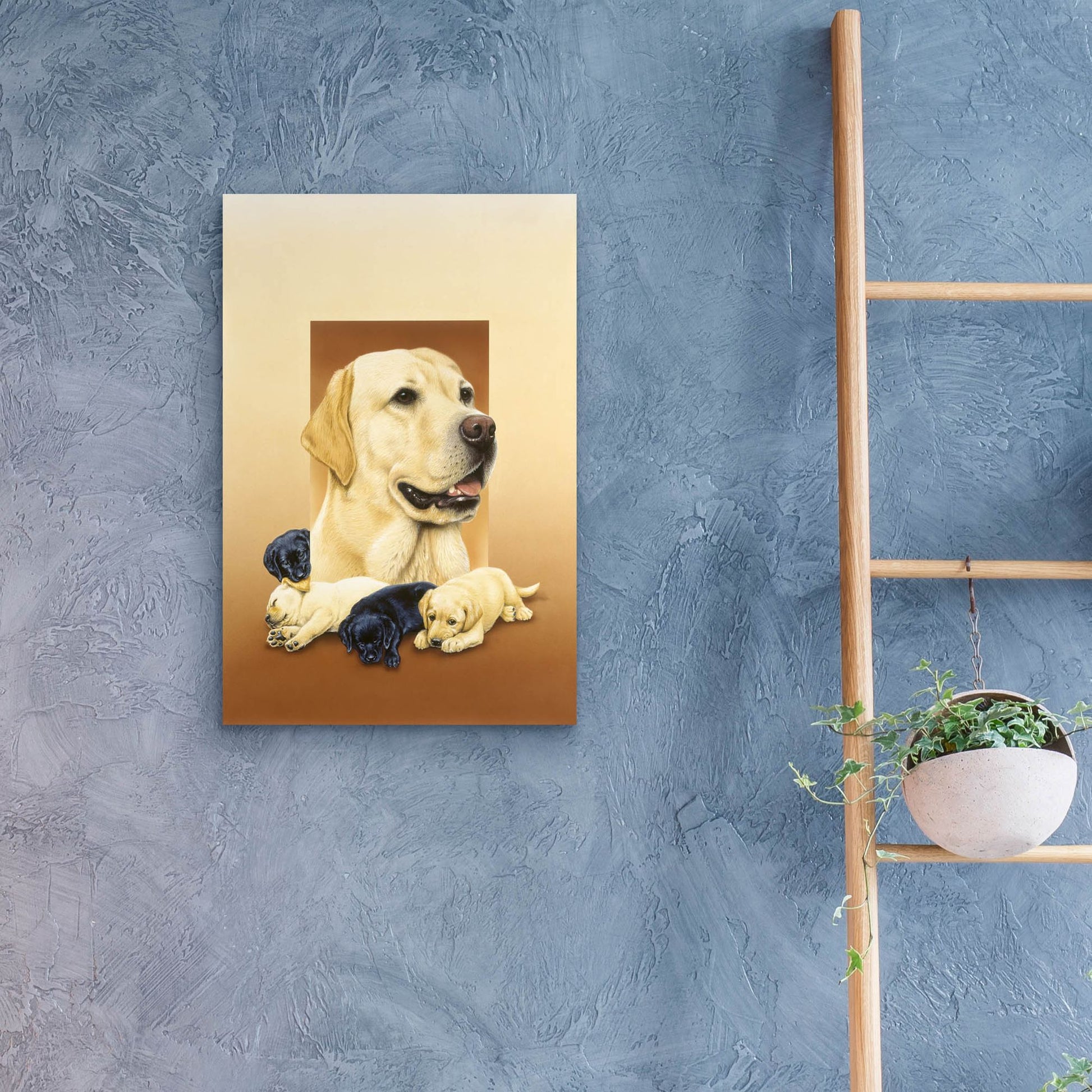 Epic Art 'Labradors' by Harro Maass, Acrylic Glass Wall Art,16x24