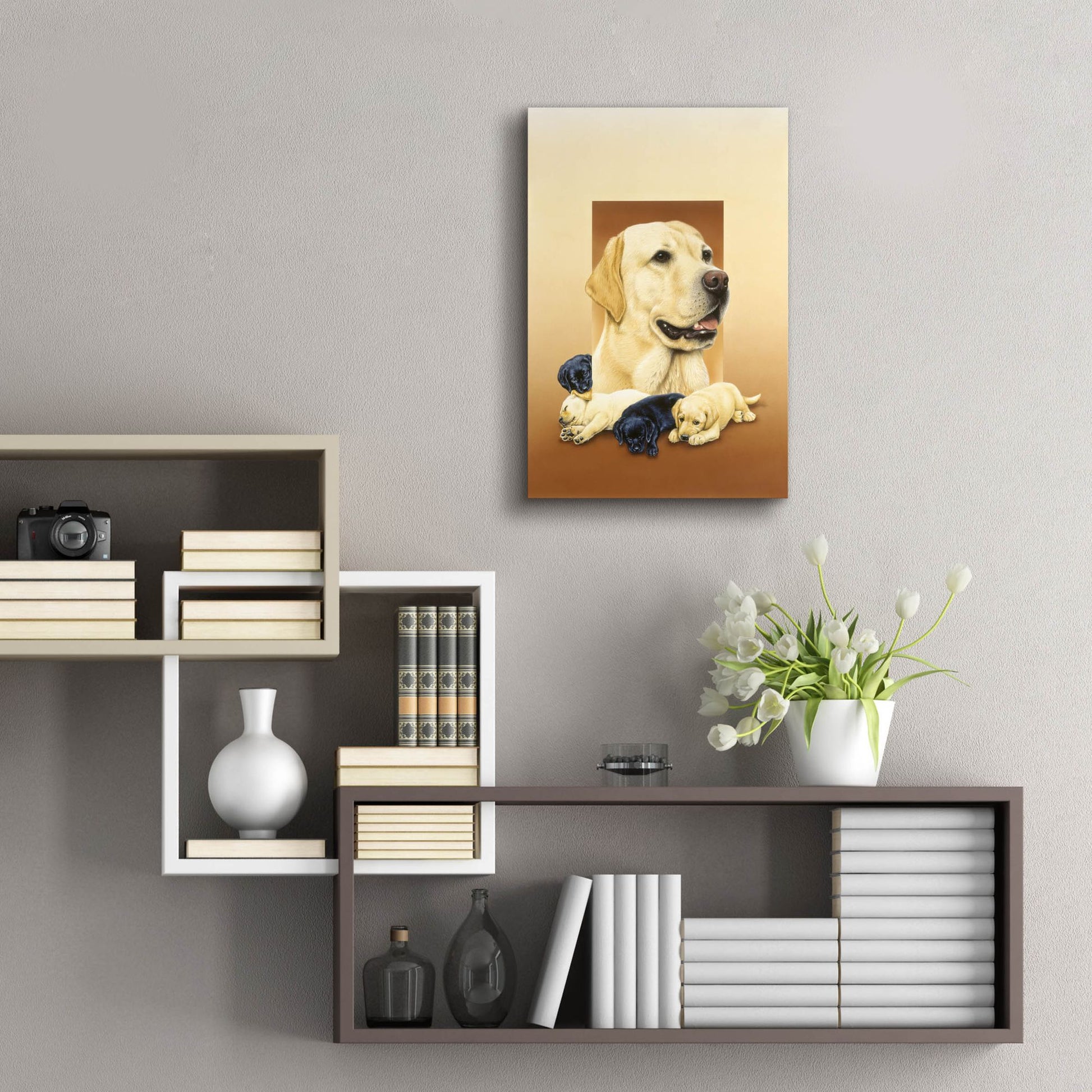 Epic Art 'Labradors' by Harro Maass, Acrylic Glass Wall Art,16x24