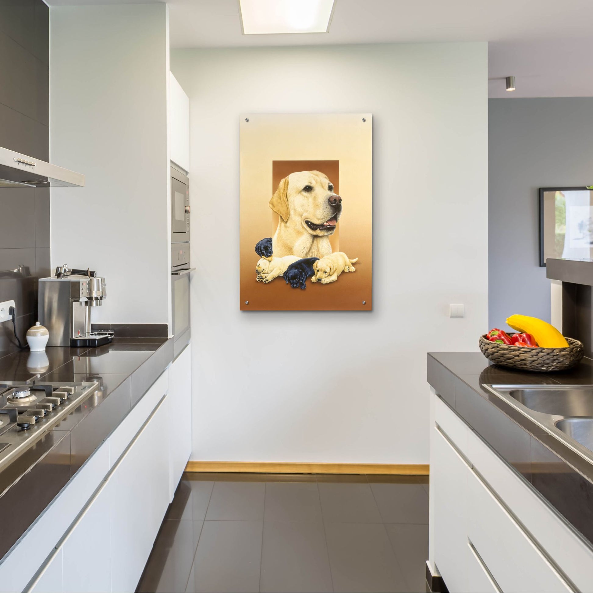 Epic Art 'Labradors' by Harro Maass, Acrylic Glass Wall Art,24x36