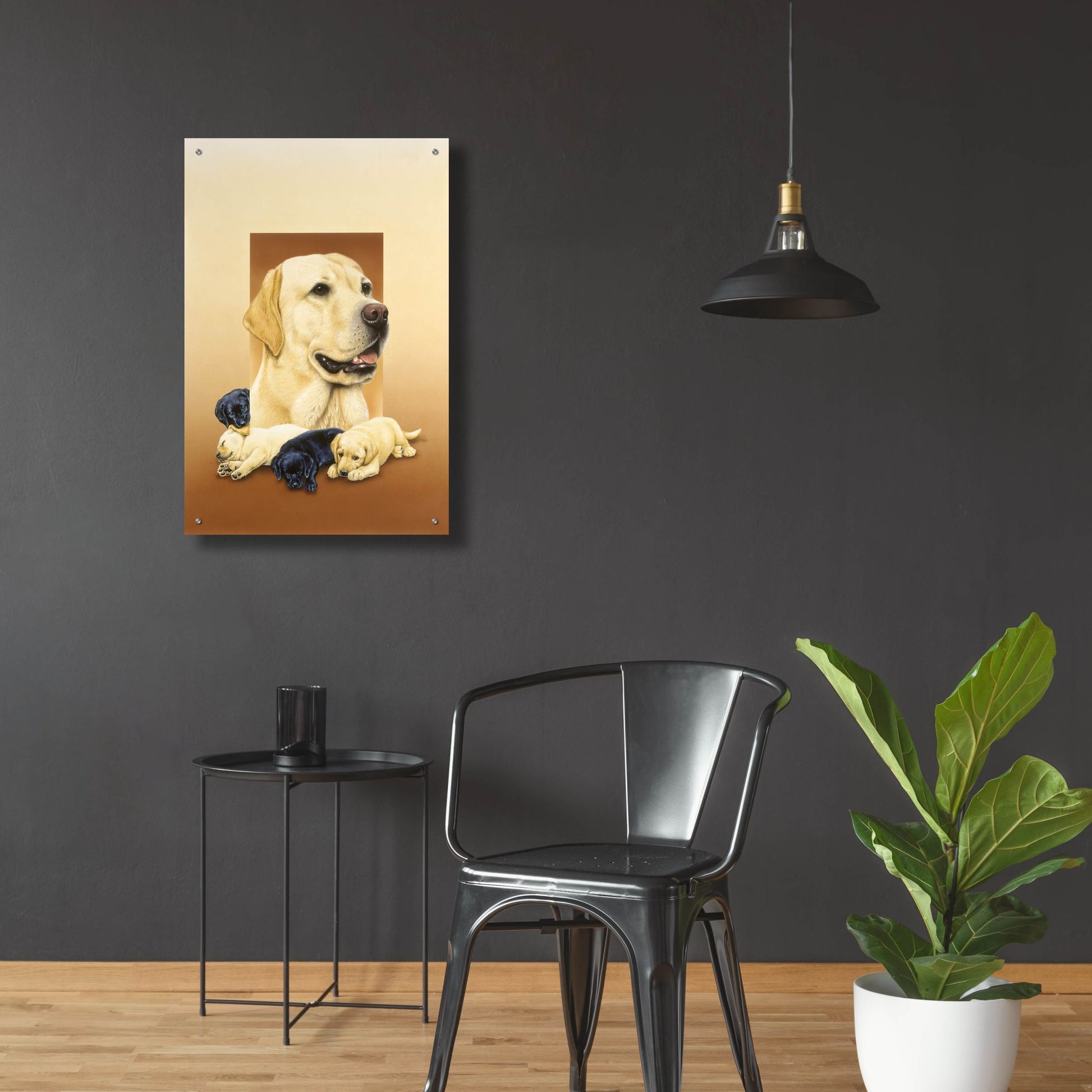 Epic Art 'Labradors' by Harro Maass, Acrylic Glass Wall Art,24x36