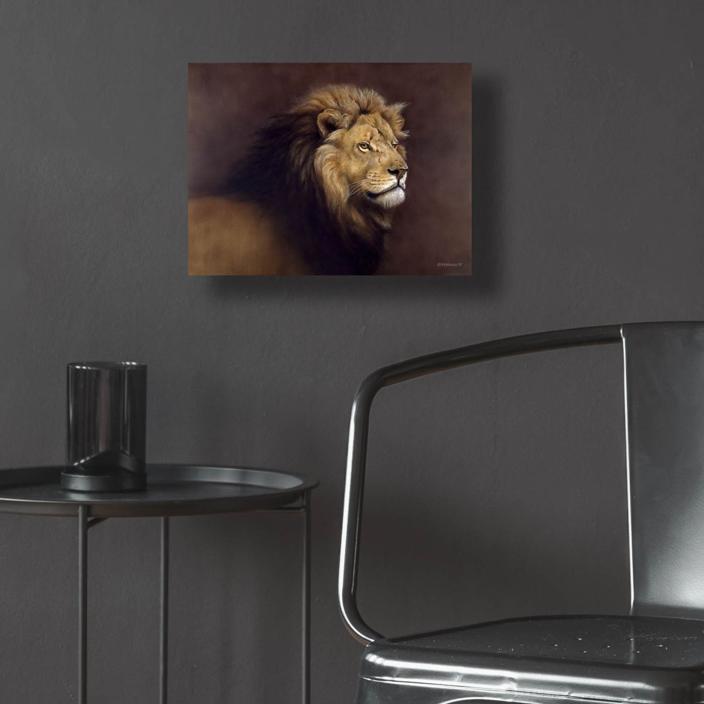 Epic Art 'Lion Male' by Harro Maass, Acrylic Glass Wall Art,16x12