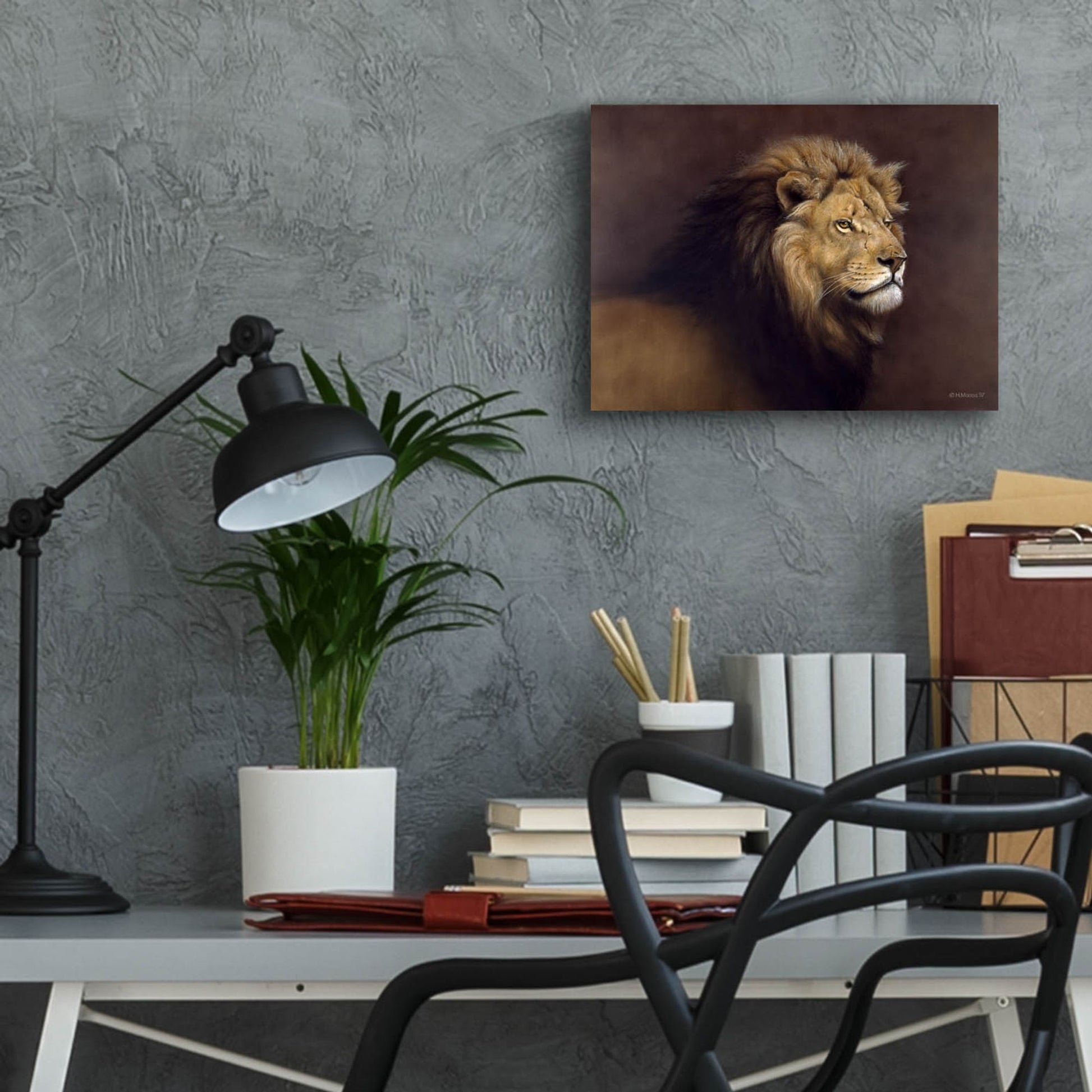 Epic Art 'Lion Male' by Harro Maass, Acrylic Glass Wall Art,16x12