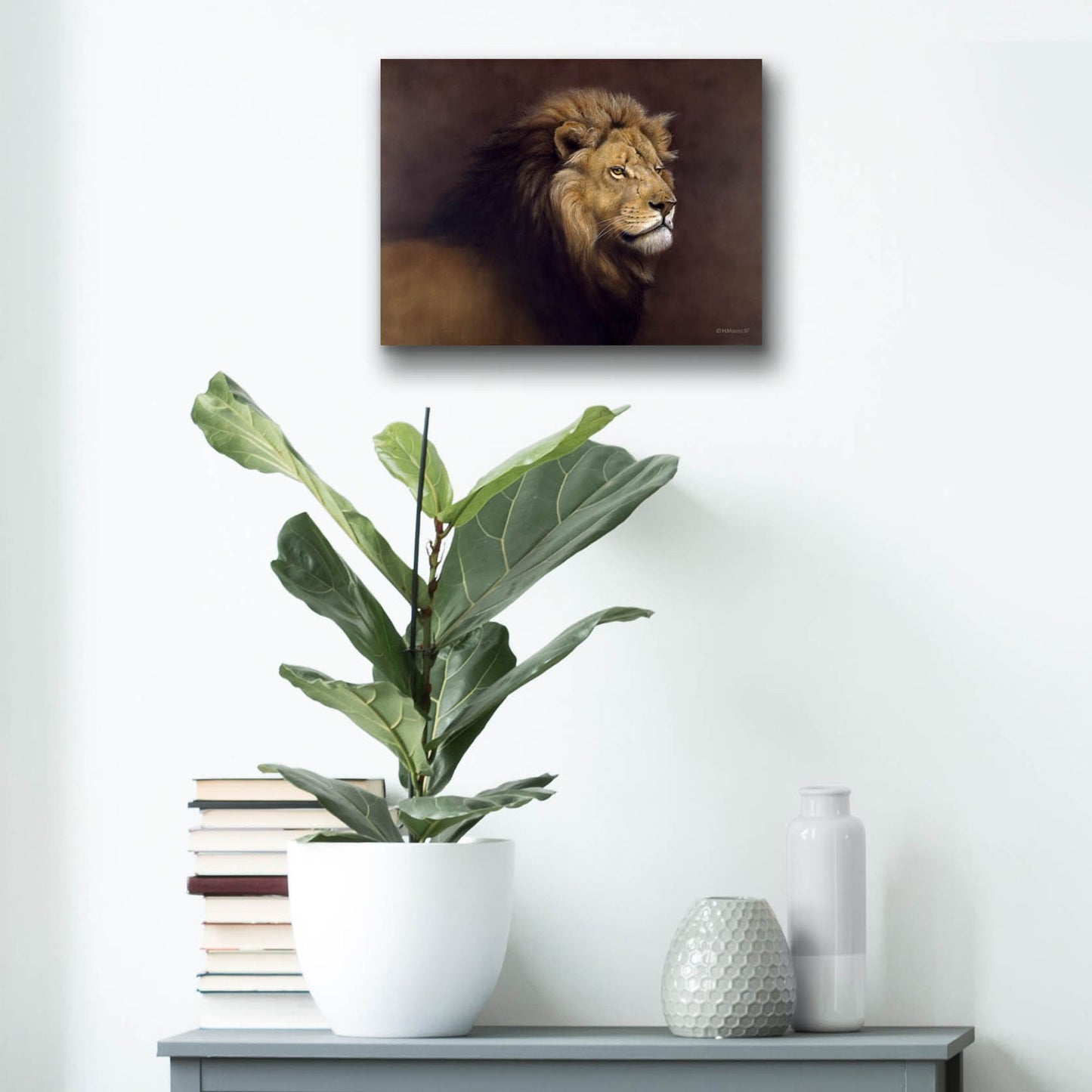 Epic Art 'Lion Male' by Harro Maass, Acrylic Glass Wall Art,16x12