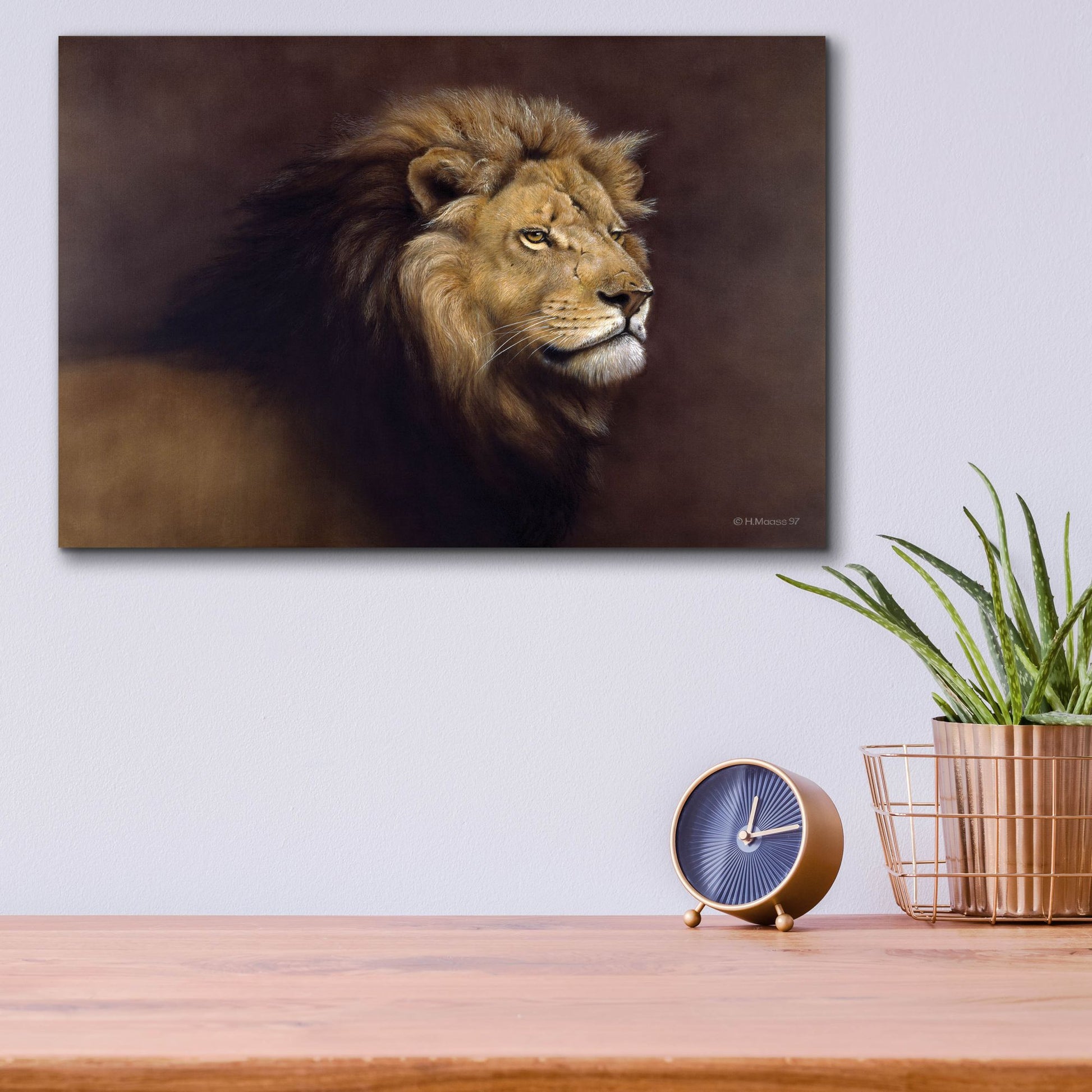 Epic Art 'Lion Male' by Harro Maass, Acrylic Glass Wall Art,16x12