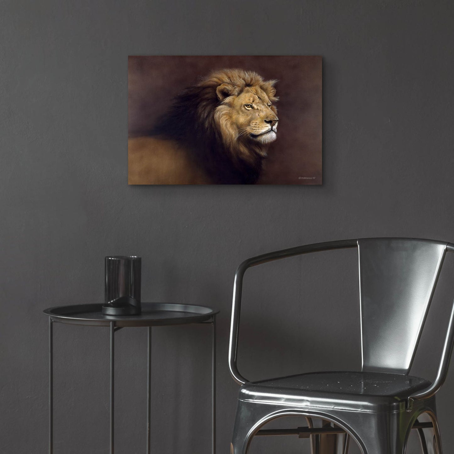 Epic Art 'Lion Male' by Harro Maass, Acrylic Glass Wall Art,24x16