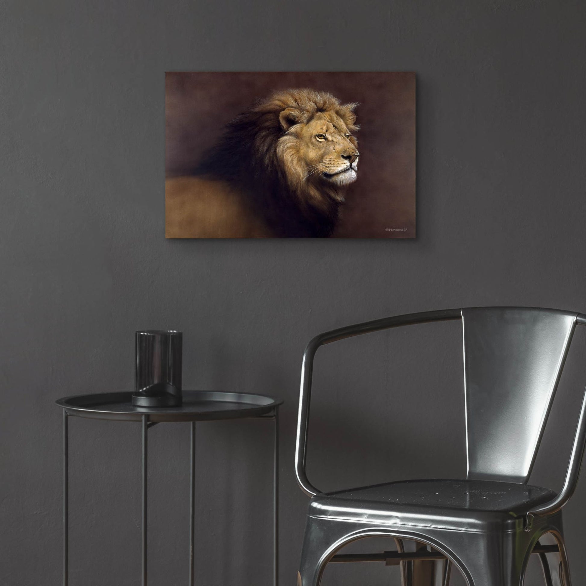Epic Art 'Lion Male' by Harro Maass, Acrylic Glass Wall Art,24x16