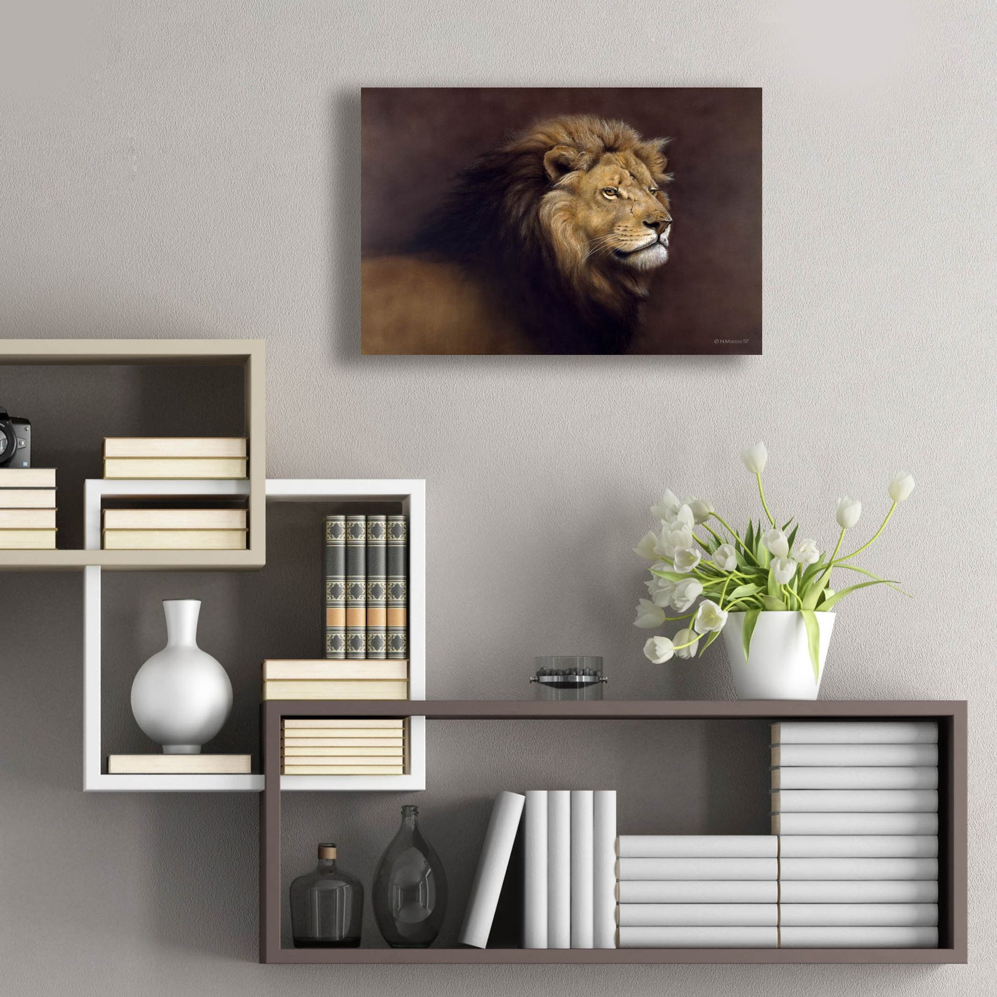 Epic Art 'Lion Male' by Harro Maass, Acrylic Glass Wall Art,24x16