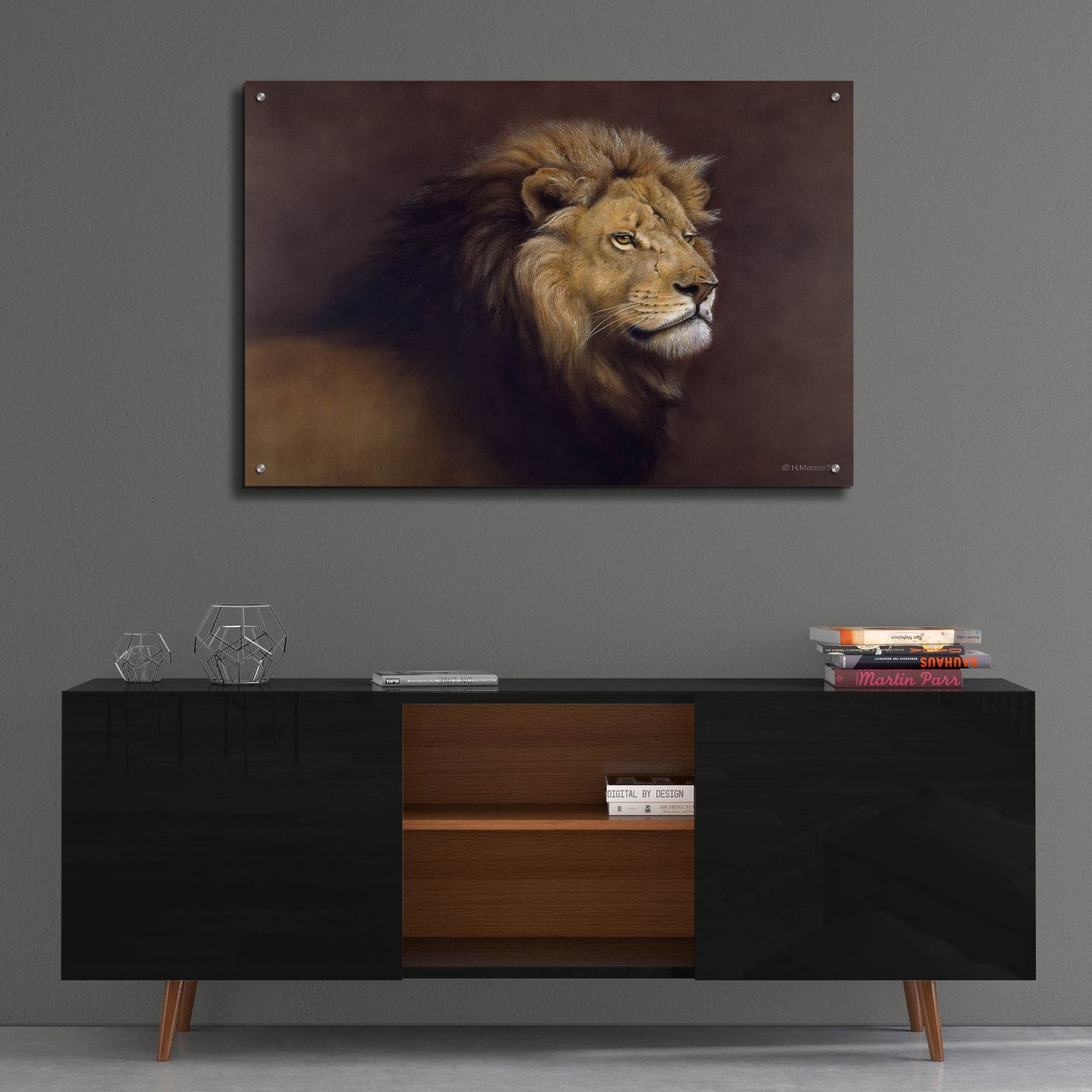 Epic Art 'Lion Male' by Harro Maass, Acrylic Glass Wall Art,36x24