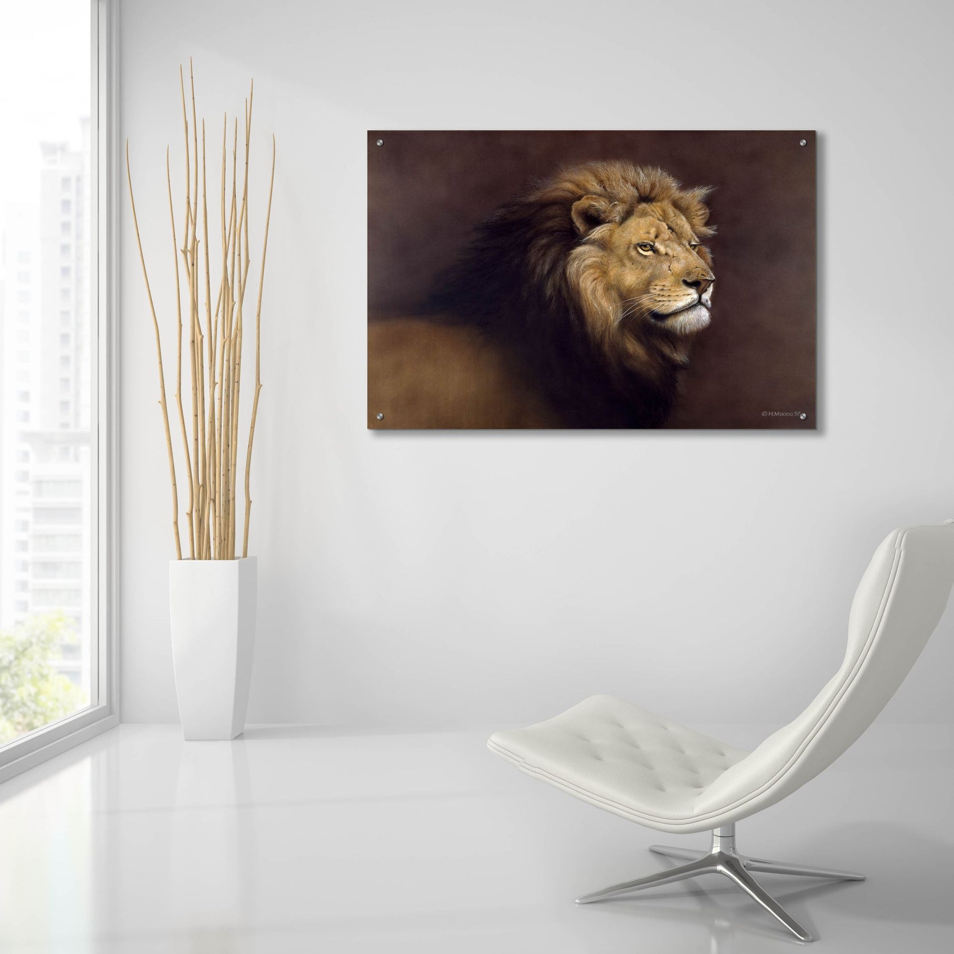 Epic Art 'Lion Male' by Harro Maass, Acrylic Glass Wall Art,36x24