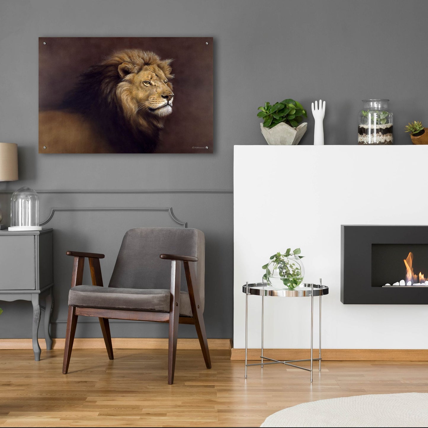 Epic Art 'Lion Male' by Harro Maass, Acrylic Glass Wall Art,36x24
