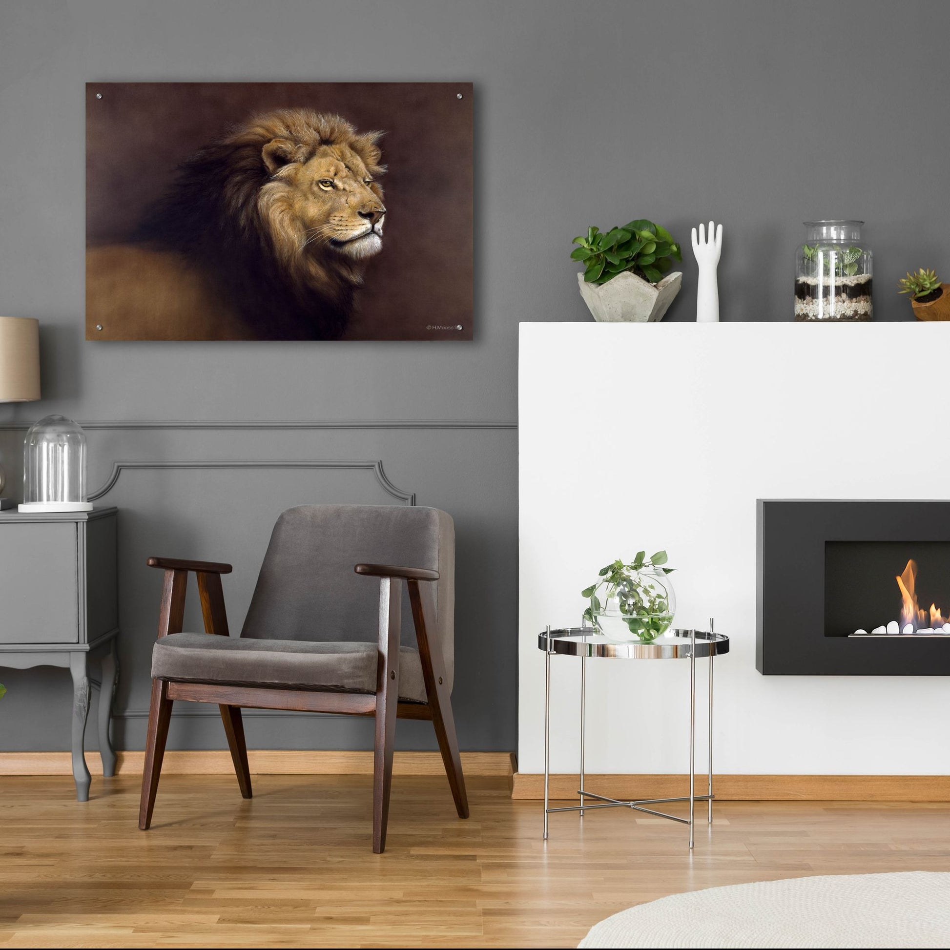Epic Art 'Lion Male' by Harro Maass, Acrylic Glass Wall Art,36x24