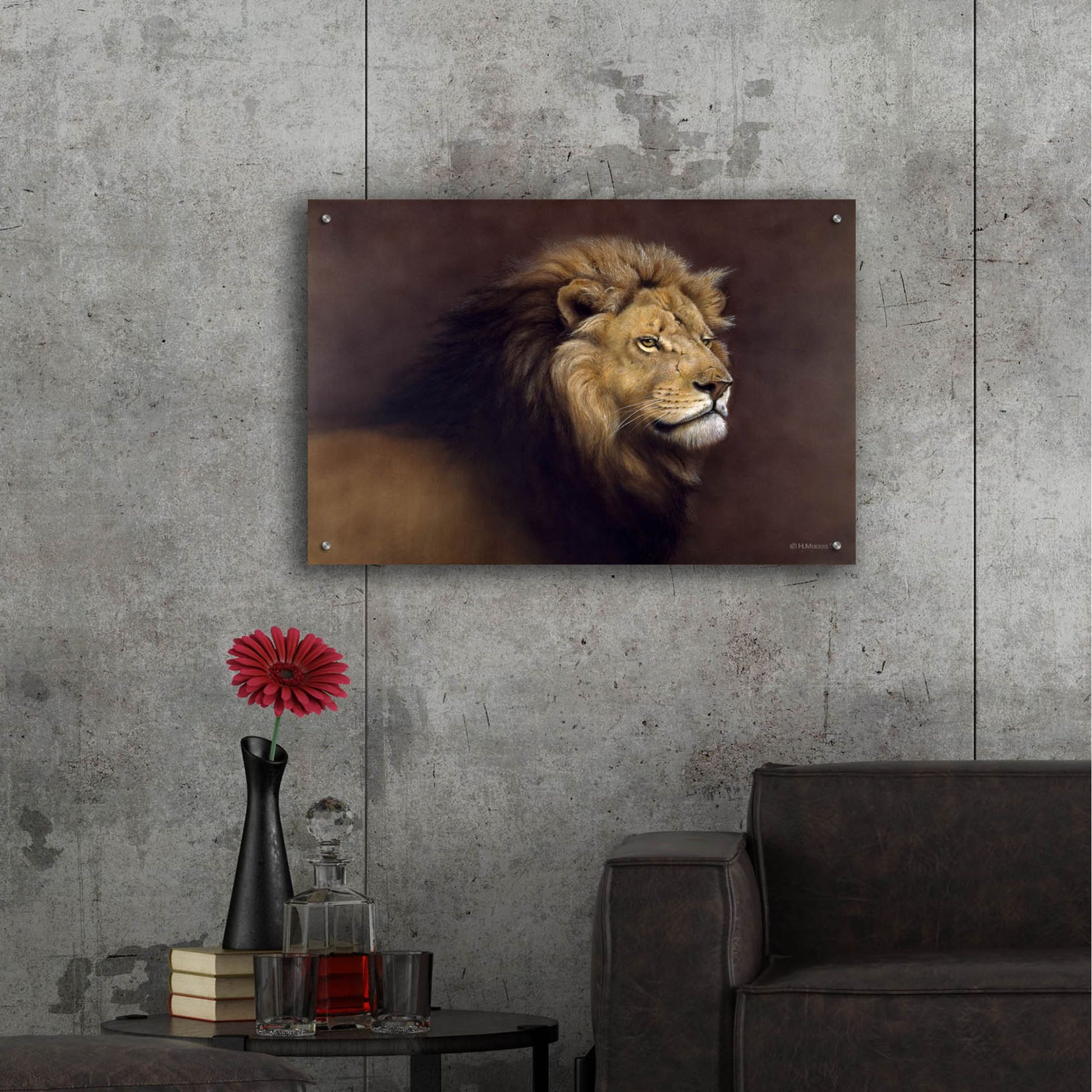 Epic Art 'Lion Male' by Harro Maass, Acrylic Glass Wall Art,36x24