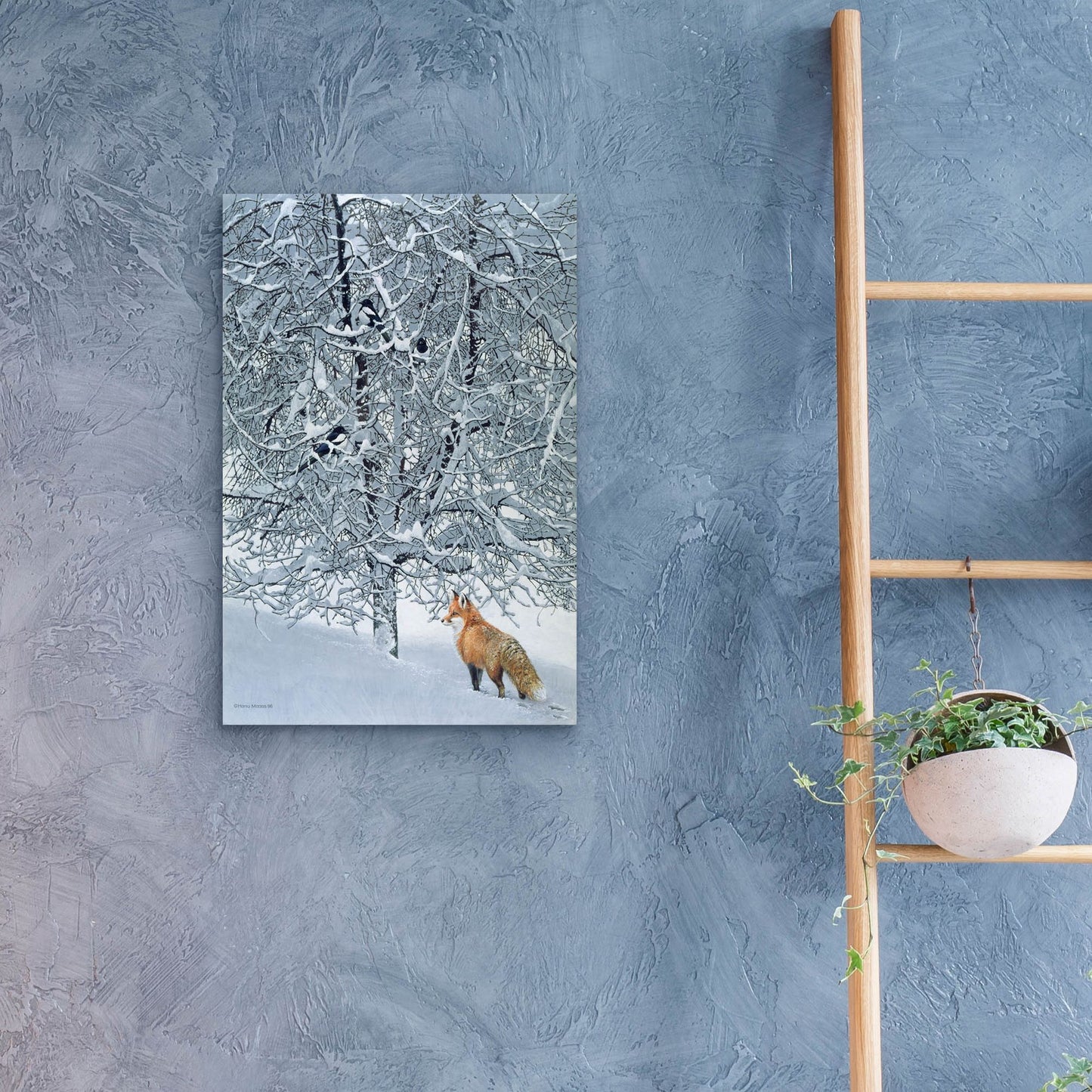 Epic Art 'Fox In Snow' by Harro Maass, Acrylic Glass Wall Art,16x24