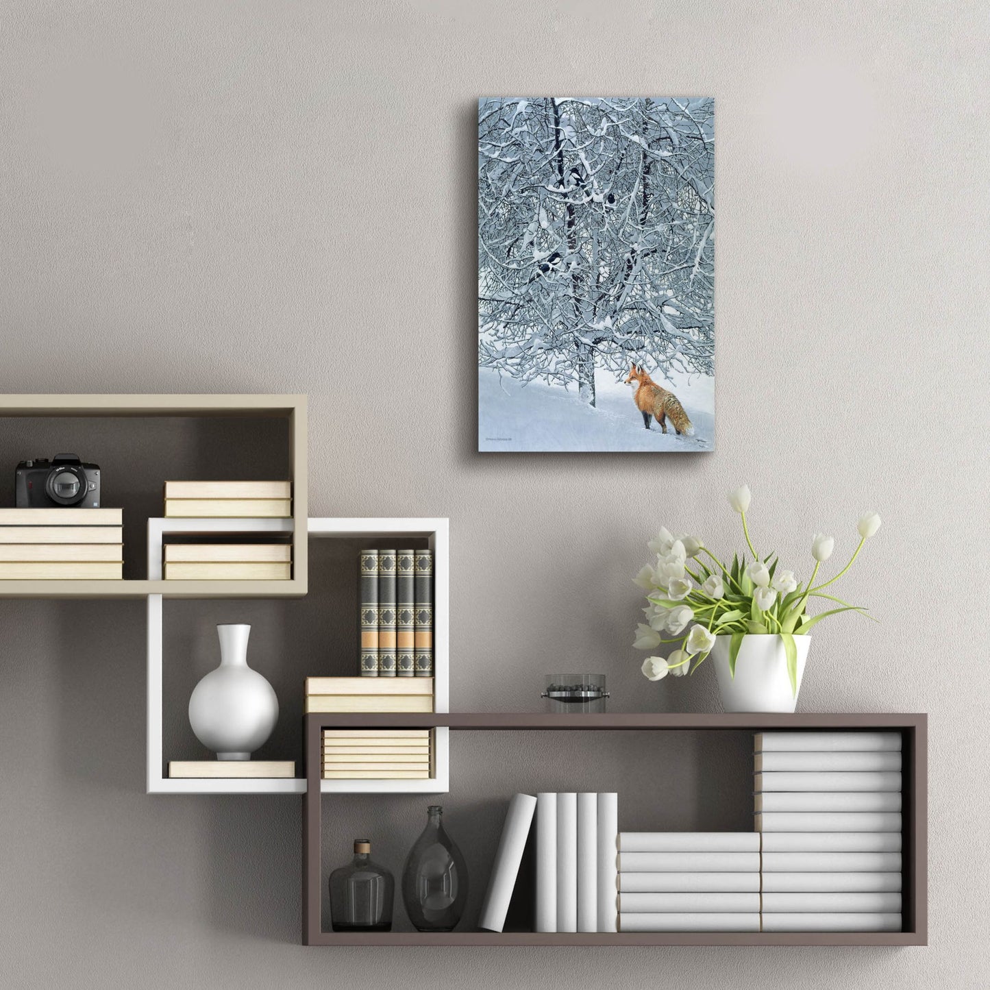 Epic Art 'Fox In Snow' by Harro Maass, Acrylic Glass Wall Art,16x24