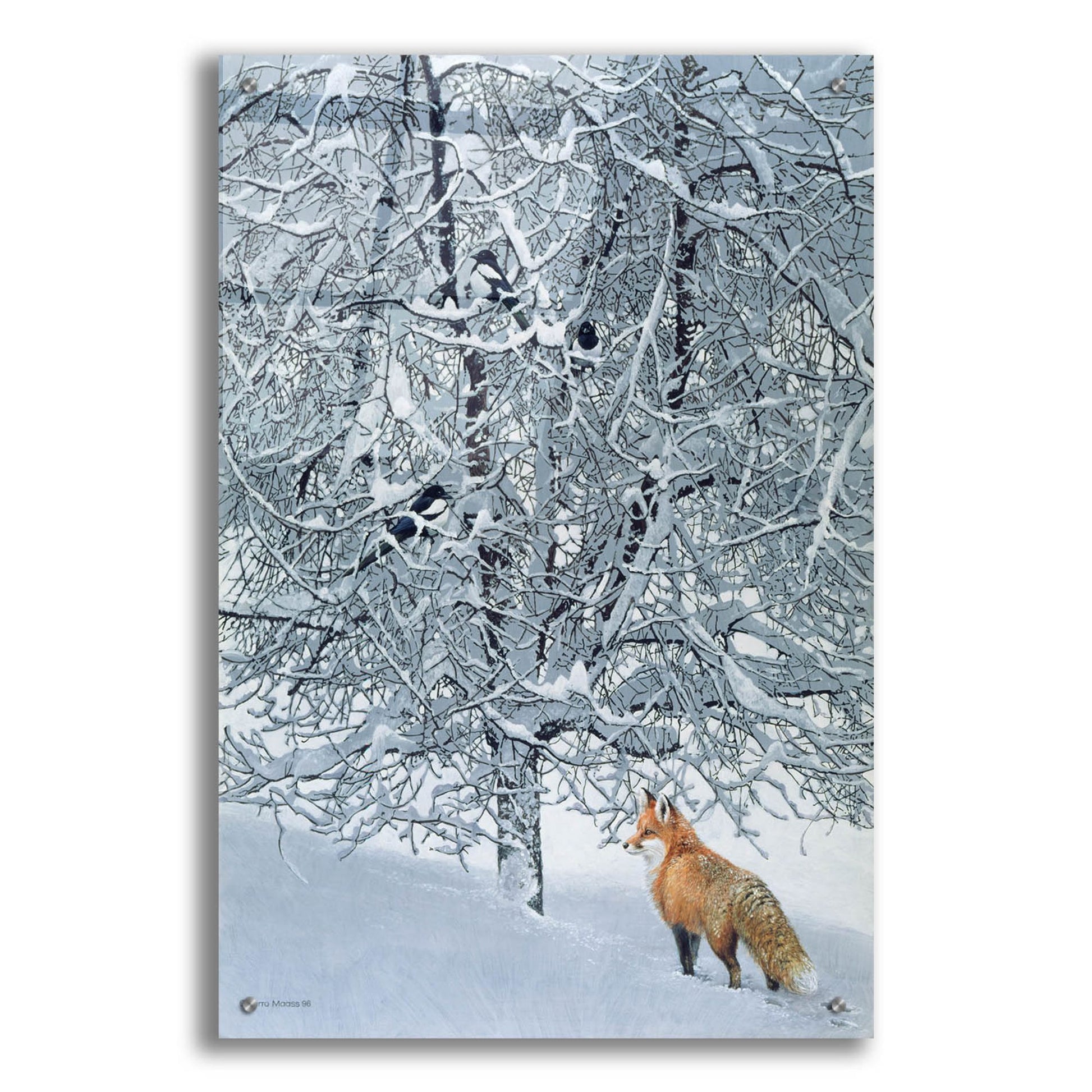 Epic Art 'Fox In Snow' by Harro Maass, Acrylic Glass Wall Art,24x36