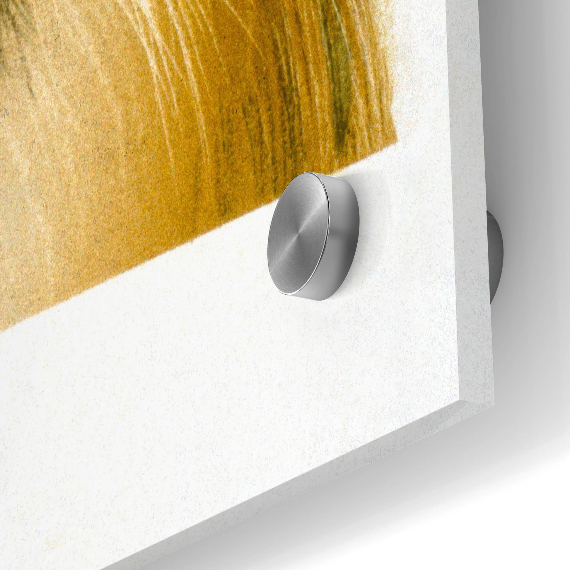 Epic Art 'Smiling Colli' by Harro Maass, Acrylic Glass Wall Art,24x36