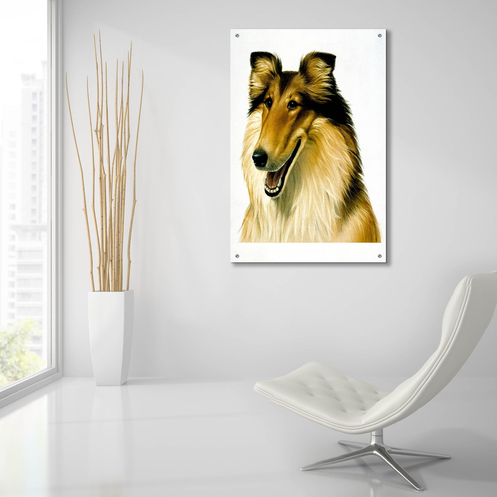 Epic Art 'Smiling Colli' by Harro Maass, Acrylic Glass Wall Art,24x36