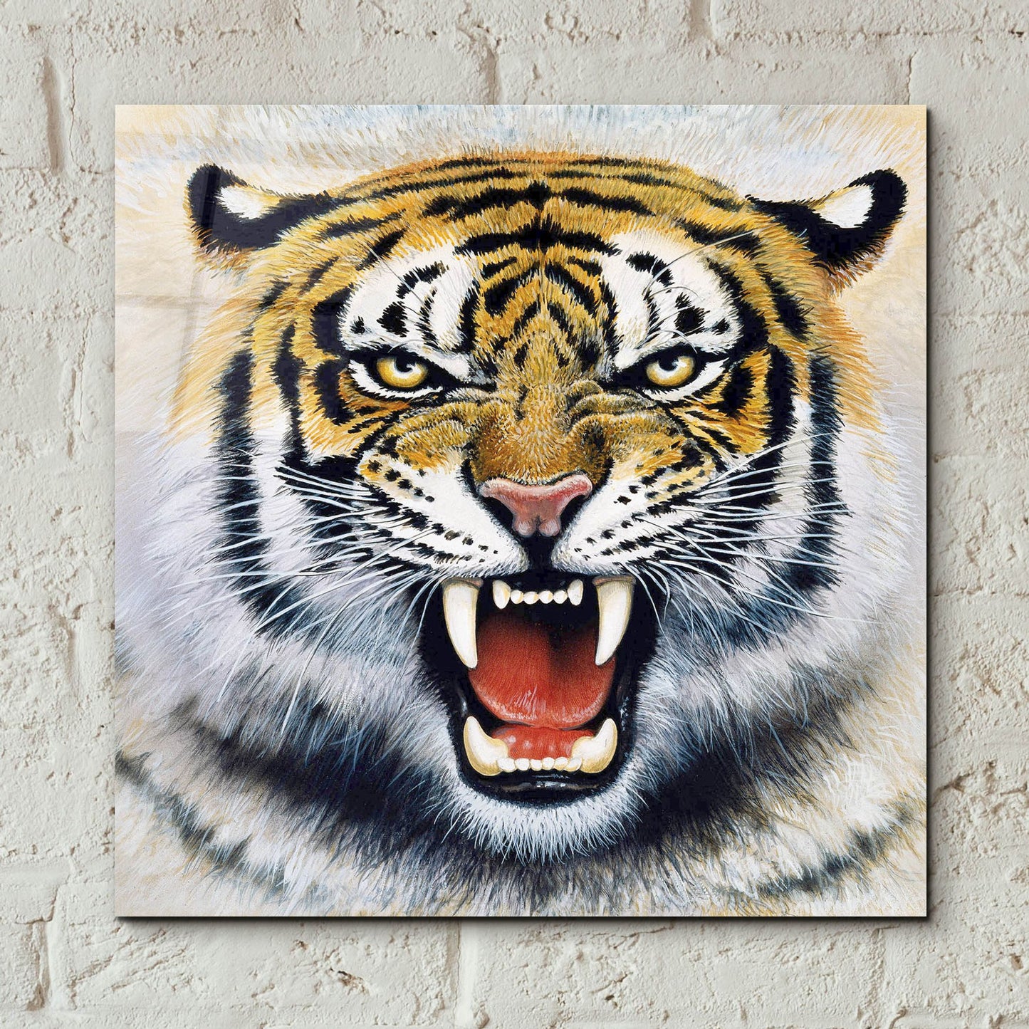 Epic Art 'Tiger' by Harro Maass, Acrylic Glass Wall Art,12x12