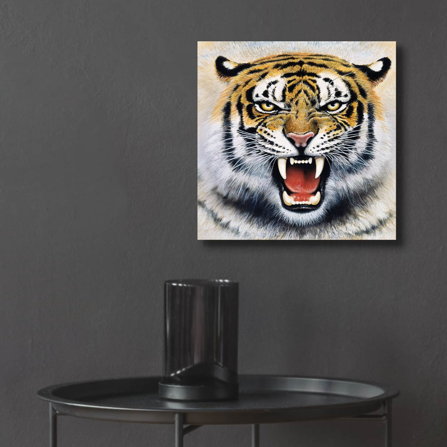 Epic Art 'Tiger' by Harro Maass, Acrylic Glass Wall Art,12x12