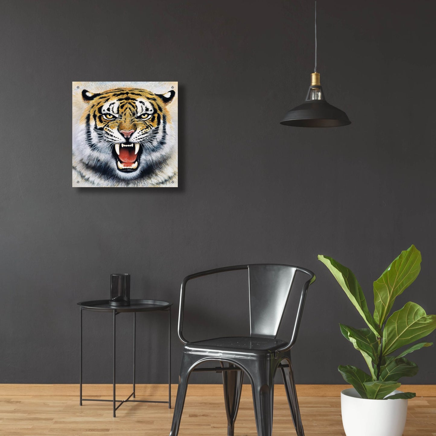 Epic Art 'Tiger' by Harro Maass, Acrylic Glass Wall Art,24x24