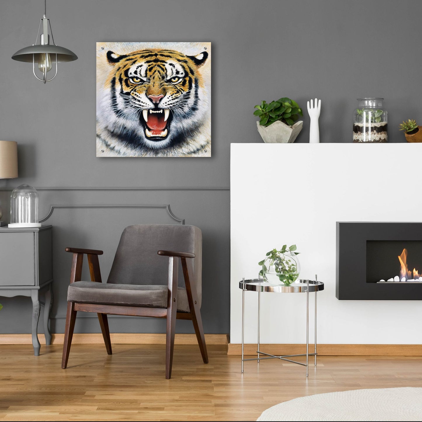 Epic Art 'Tiger' by Harro Maass, Acrylic Glass Wall Art,24x24