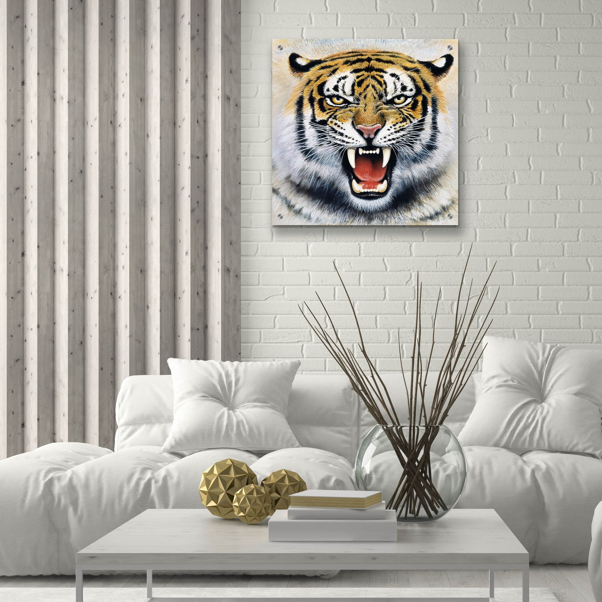 Epic Art 'Tiger' by Harro Maass, Acrylic Glass Wall Art,24x24