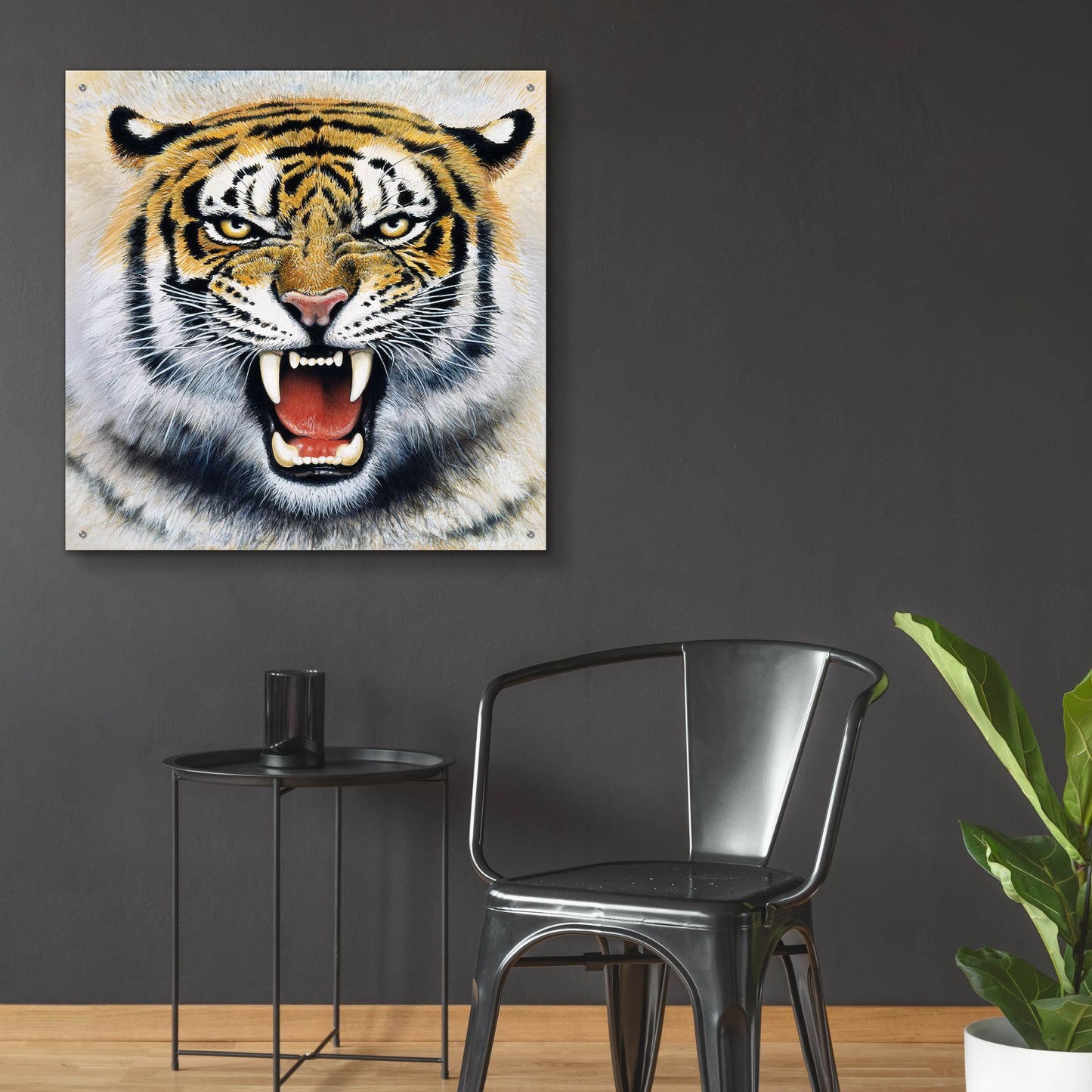 Epic Art 'Tiger' by Harro Maass, Acrylic Glass Wall Art,36x36