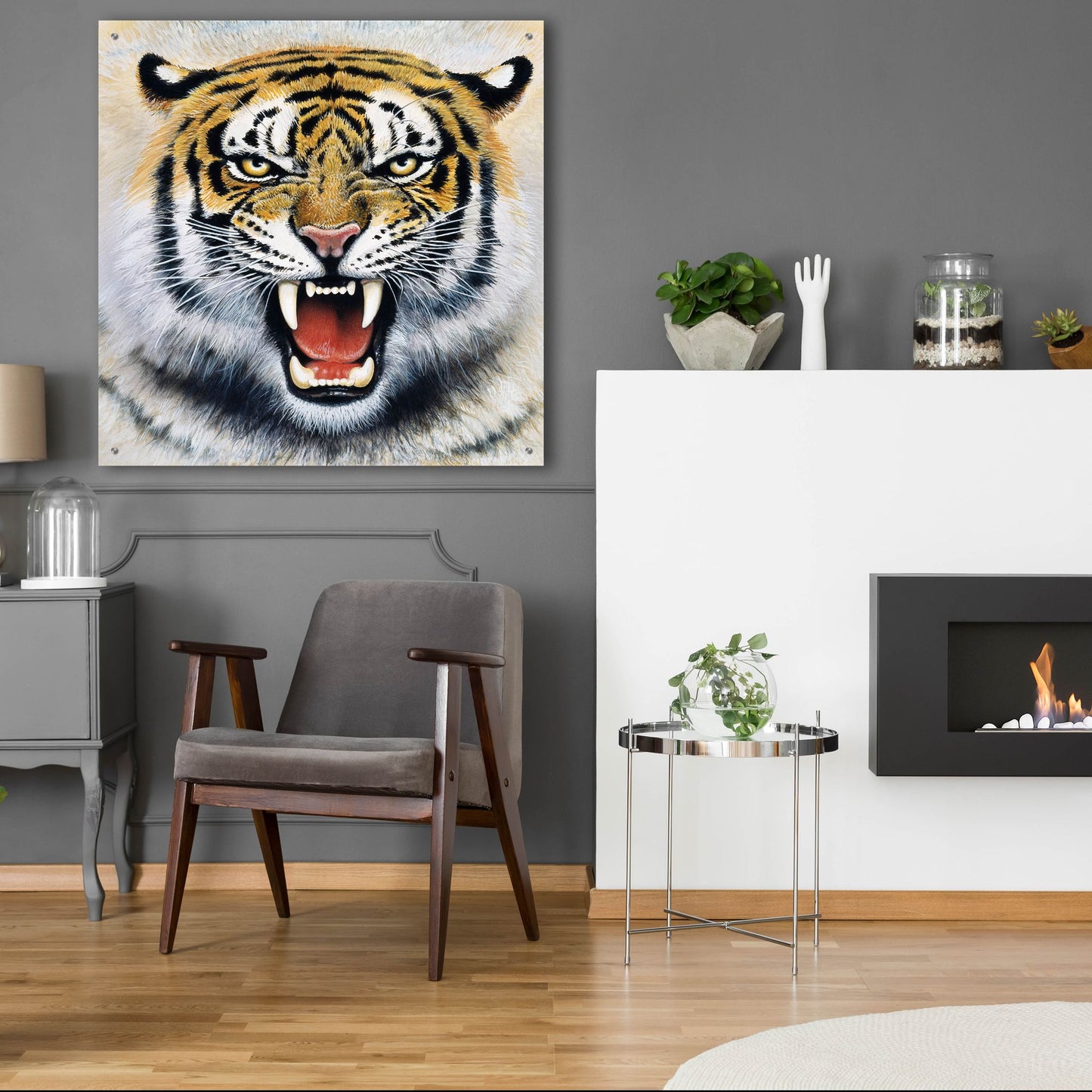 Epic Art 'Tiger' by Harro Maass, Acrylic Glass Wall Art,36x36