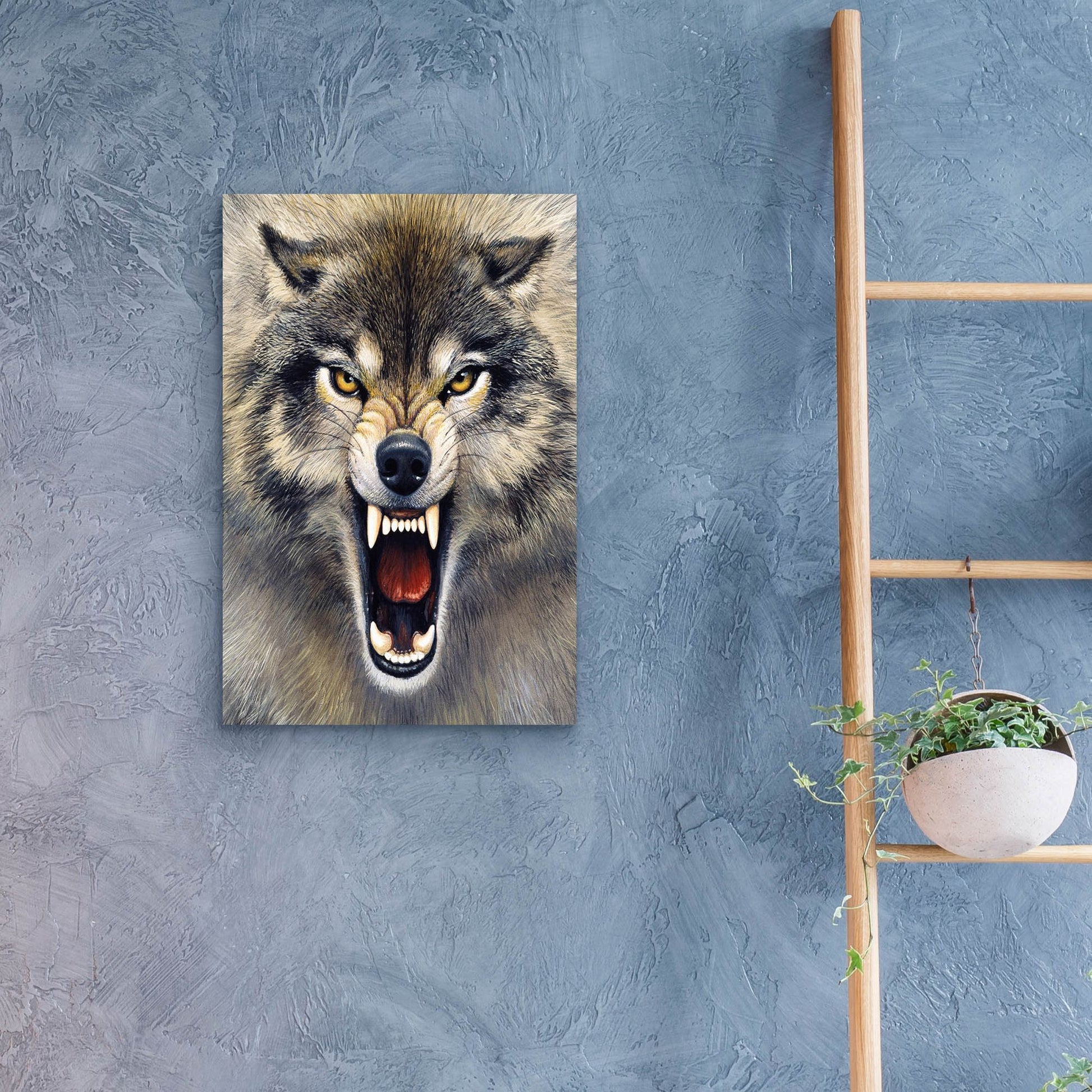 Epic Art 'Wolf' by Harro Maass, Acrylic Glass Wall Art,16x24