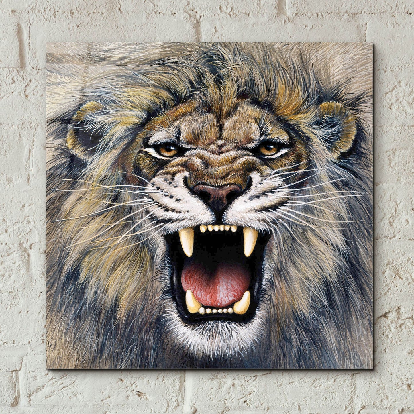 Epic Art 'Lion' by Harro Maass, Acrylic Glass Wall Art,12x12