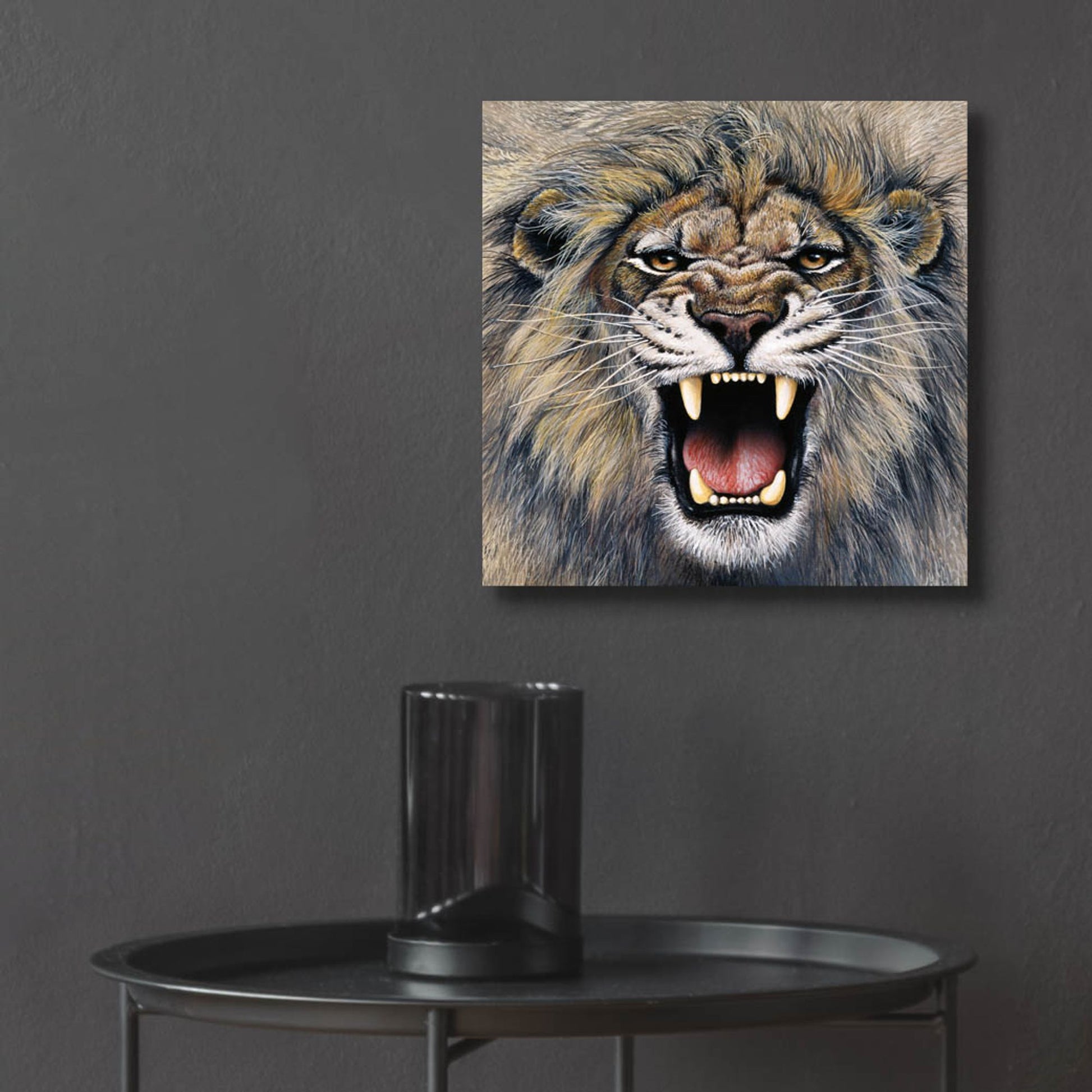Epic Art 'Lion' by Harro Maass, Acrylic Glass Wall Art,12x12