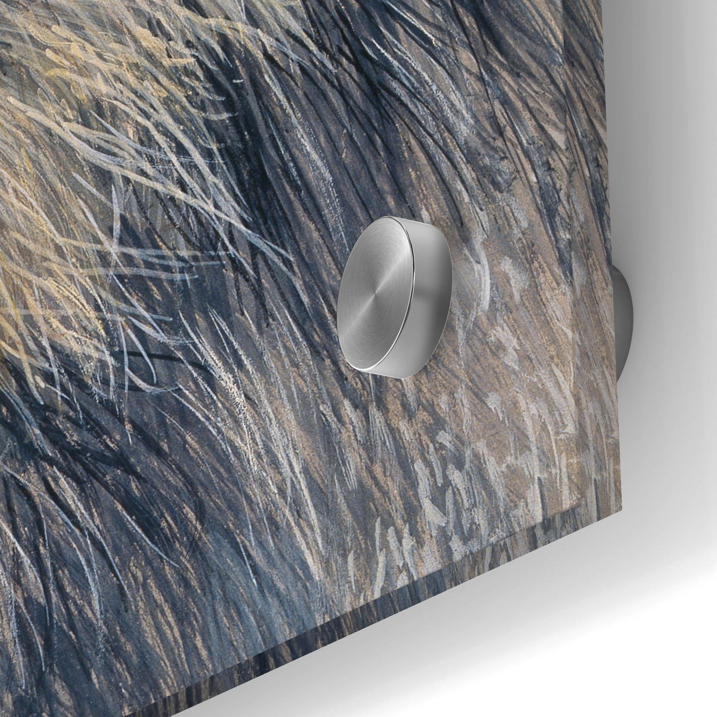 Epic Art 'Lion' by Harro Maass, Acrylic Glass Wall Art,24x24