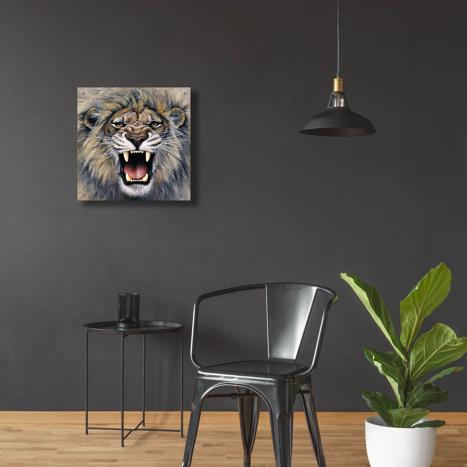 Epic Art 'Lion' by Harro Maass, Acrylic Glass Wall Art,24x24