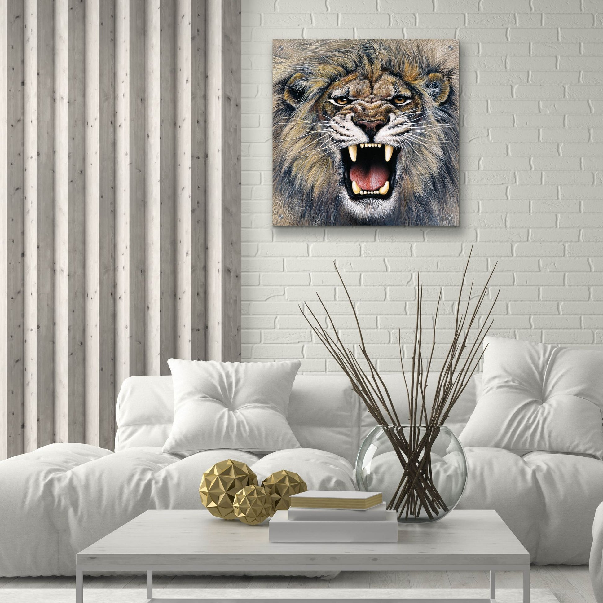 Epic Art 'Lion' by Harro Maass, Acrylic Glass Wall Art,24x24