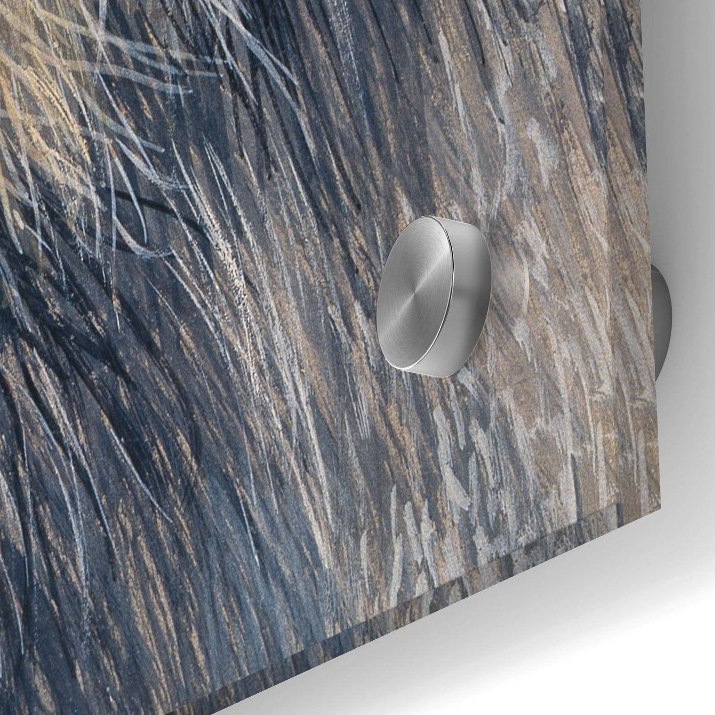 Epic Art 'Lion' by Harro Maass, Acrylic Glass Wall Art,36x36
