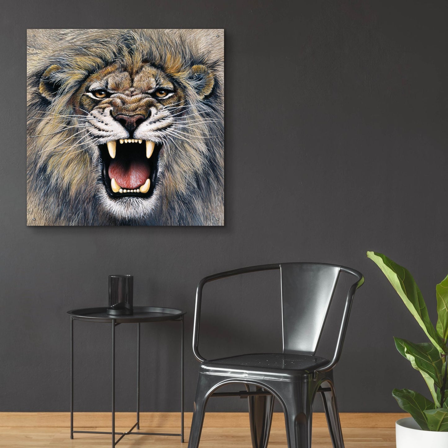 Epic Art 'Lion' by Harro Maass, Acrylic Glass Wall Art,36x36