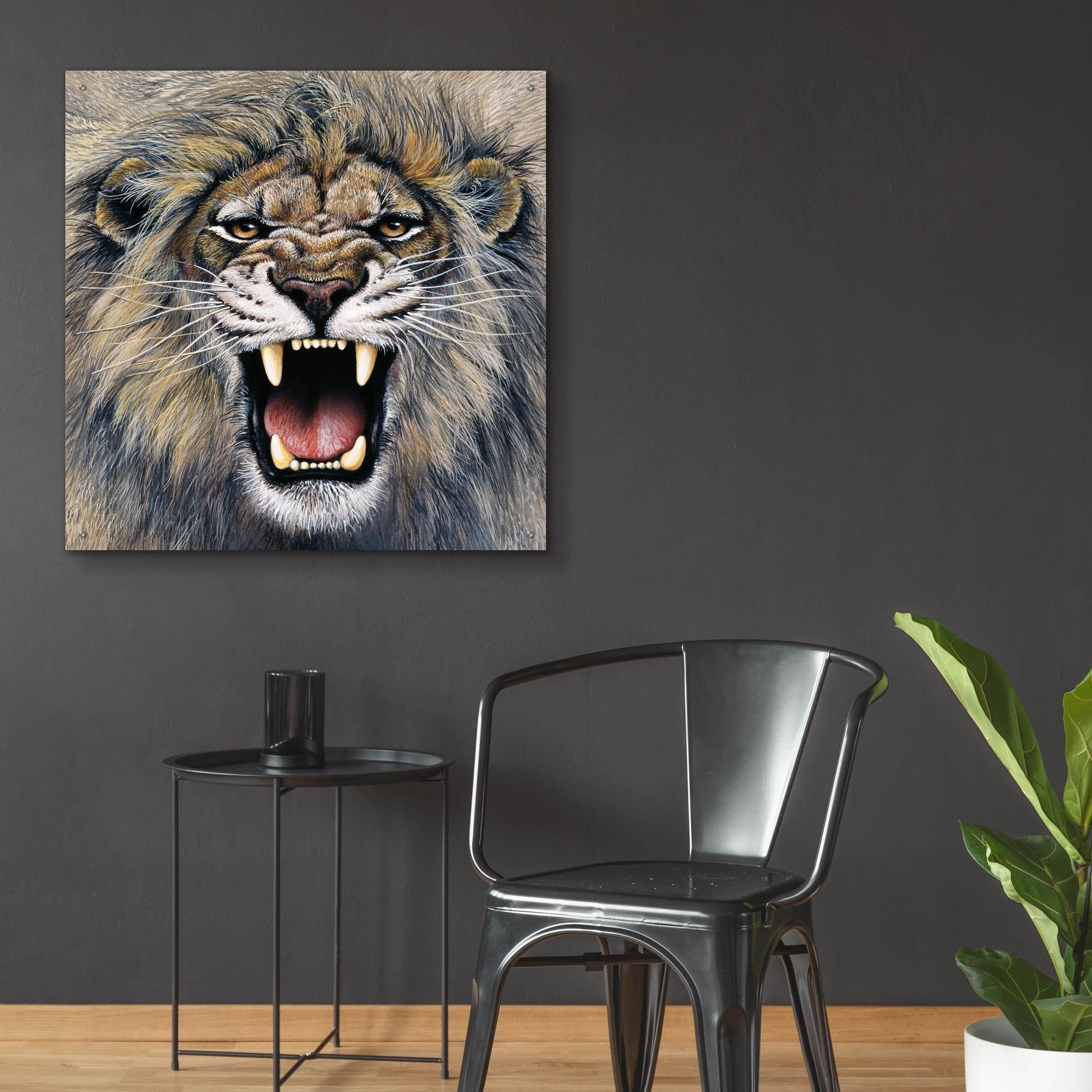 Epic Art 'Lion' by Harro Maass, Acrylic Glass Wall Art,36x36