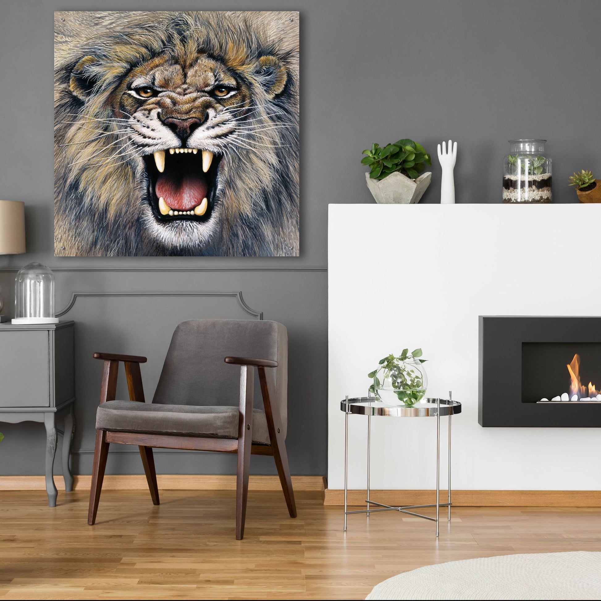 Epic Art 'Lion' by Harro Maass, Acrylic Glass Wall Art,36x36