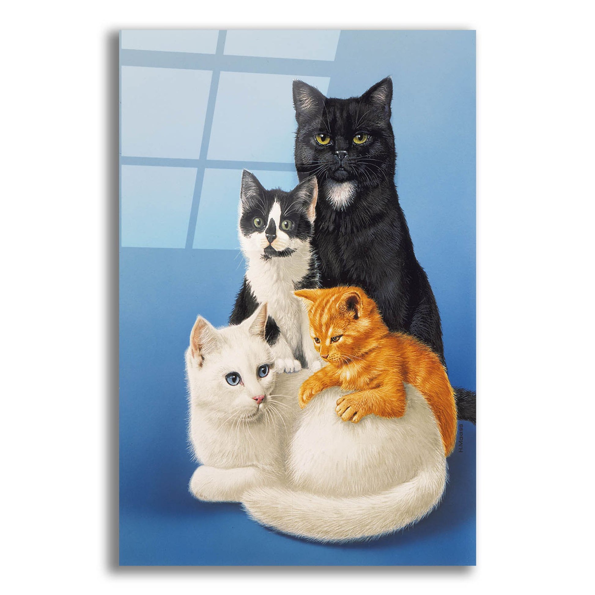 Epic Art 'Cat Family' by Harro Maass, Acrylic Glass Wall Art,12x16