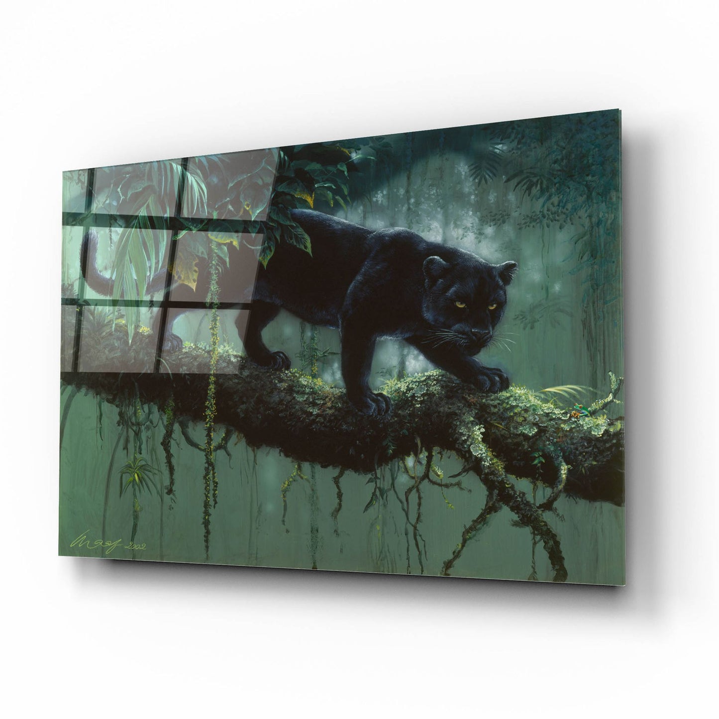 Epic Art 'Black Jaguar' by Harro Maass, Acrylic Glass Wall Art,16x12